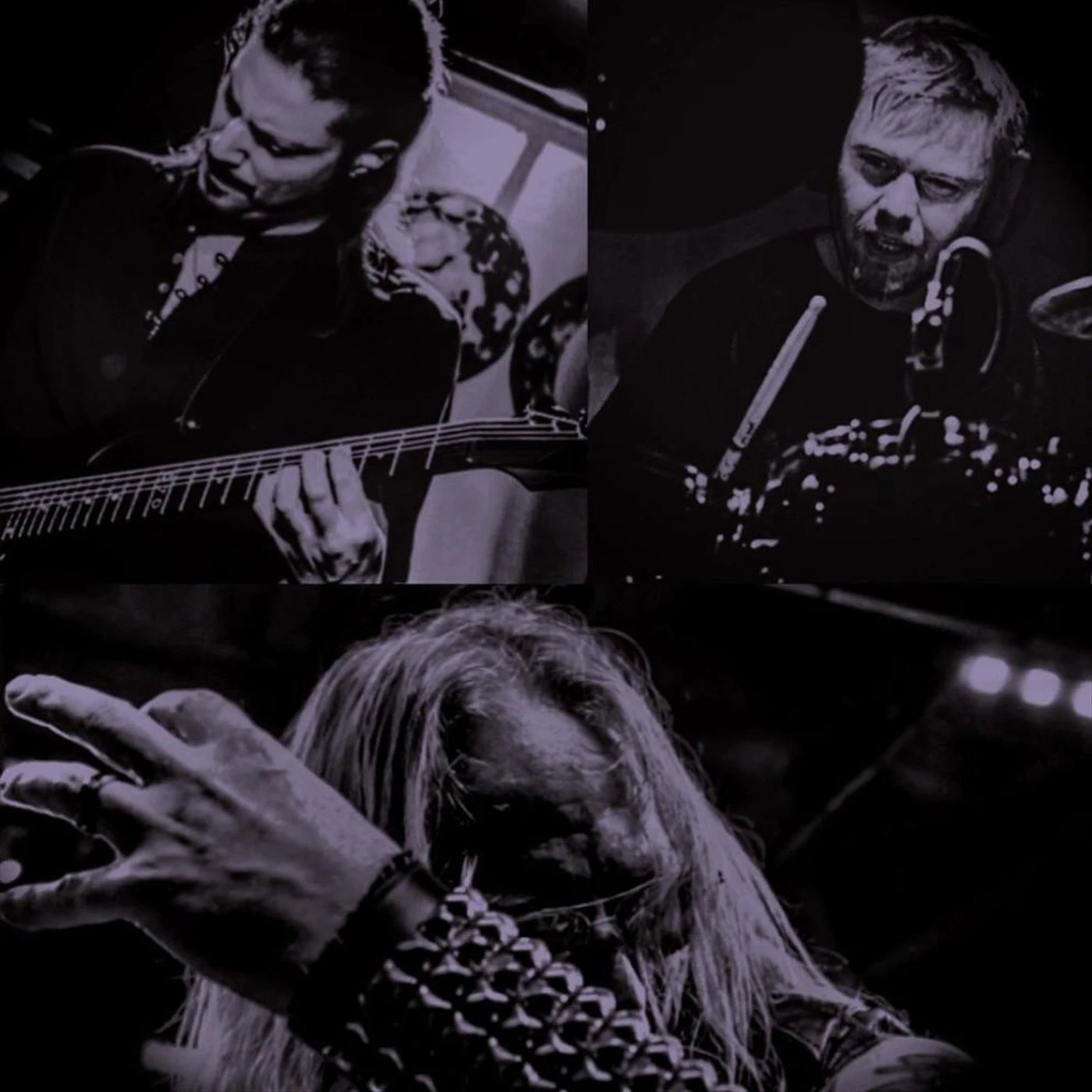 Howling Sycamore Brand Page