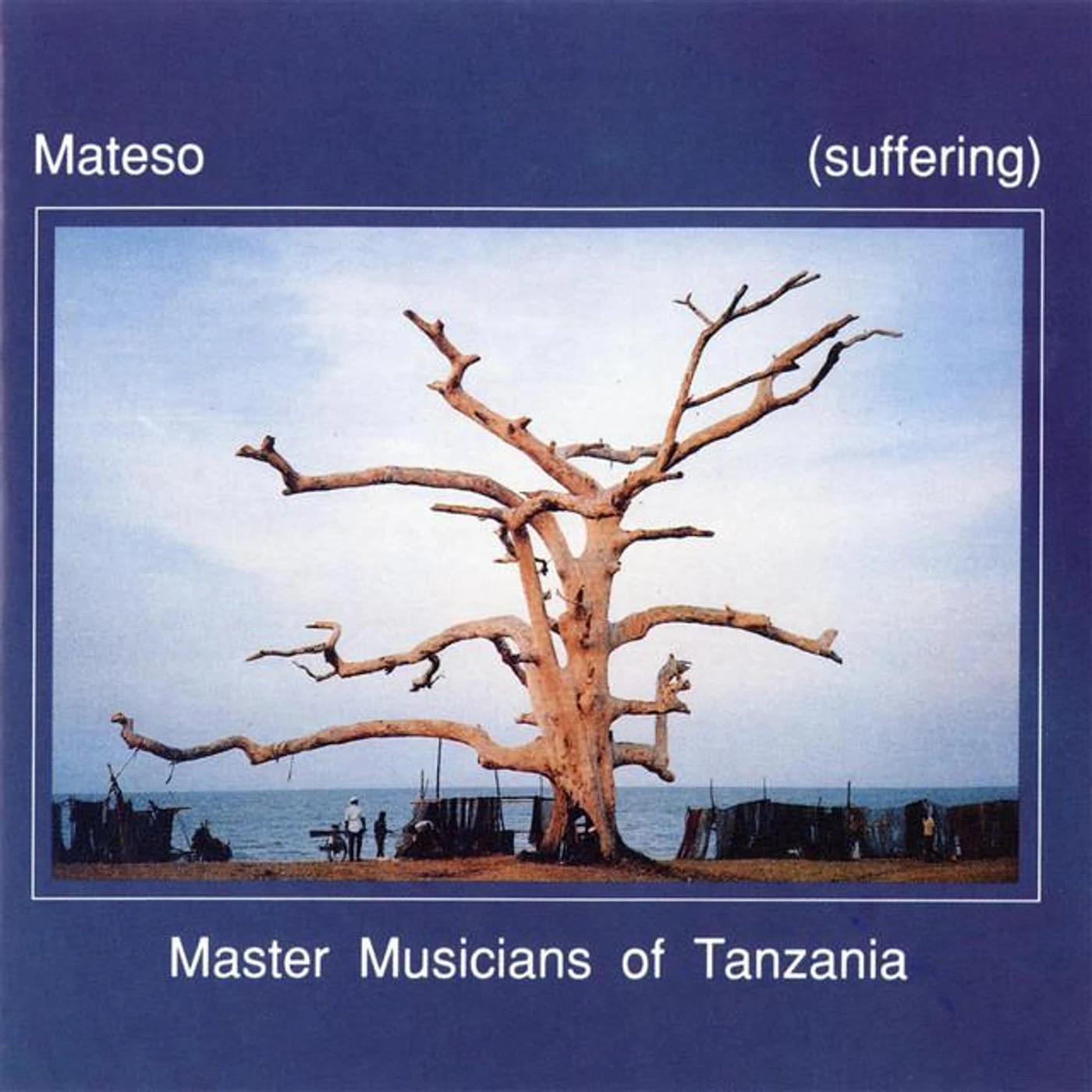 Hukwe Zawose & the Master Musicians Of Tanzania Brand Page