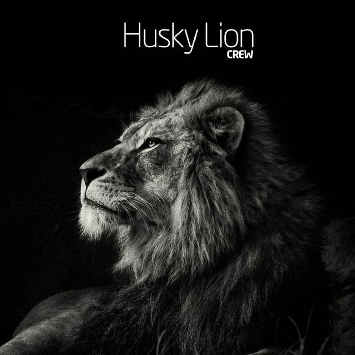 Husky Lion Brand Page