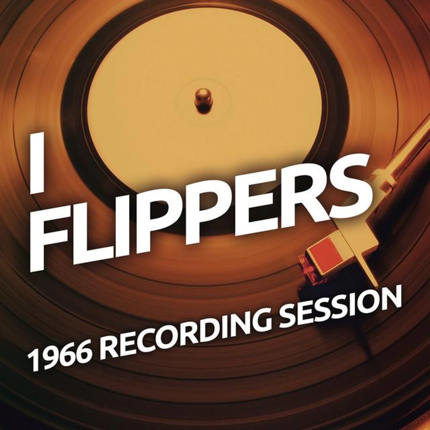 I Flippers Brand Page