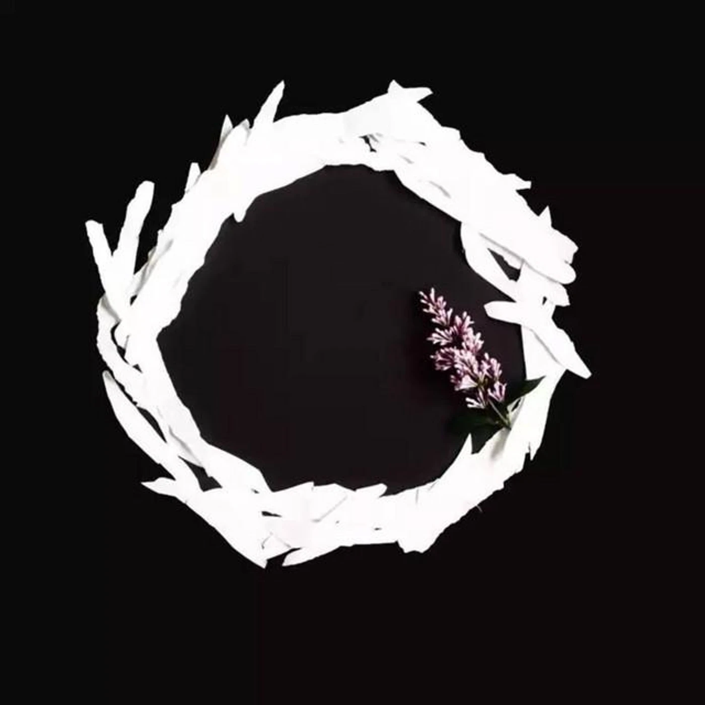 I Hate Sex Brand Page