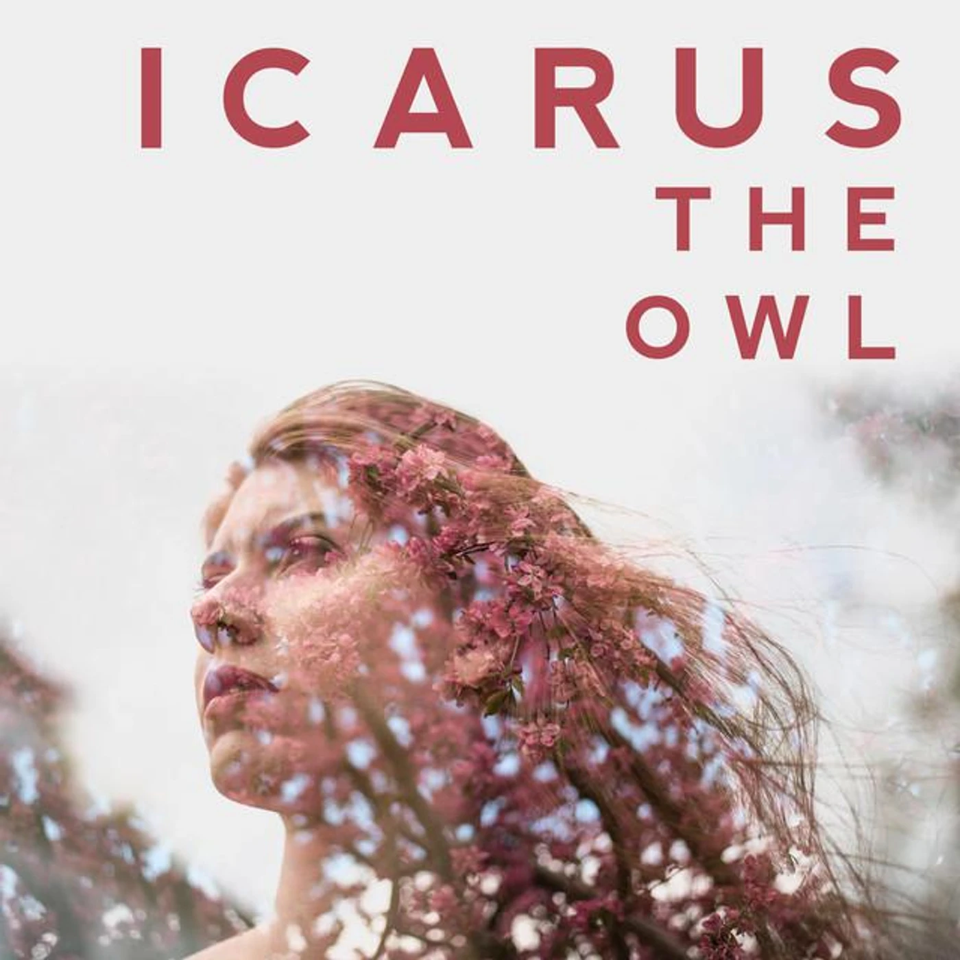 Icarus The Owl Brand Page