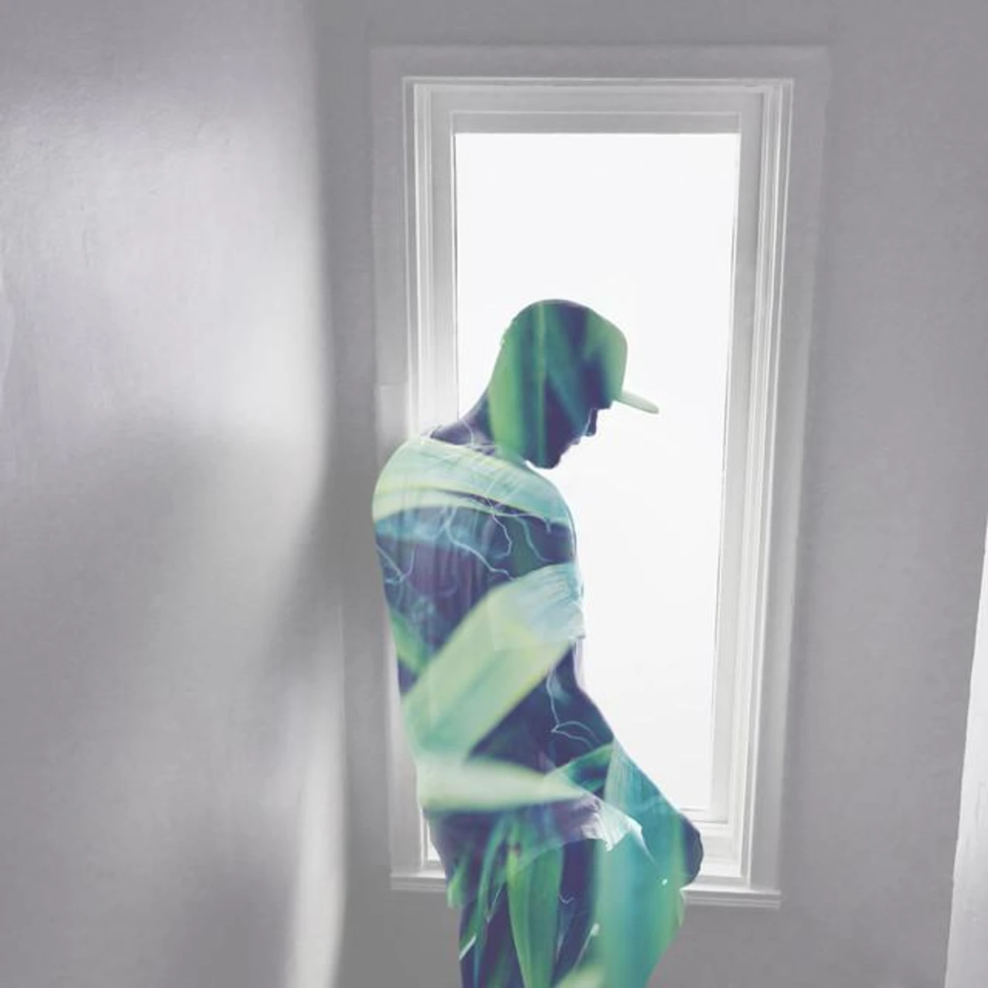 Iamforest Brand Page