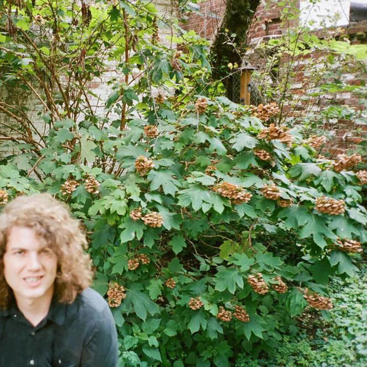 Idiot Glee Brand Page