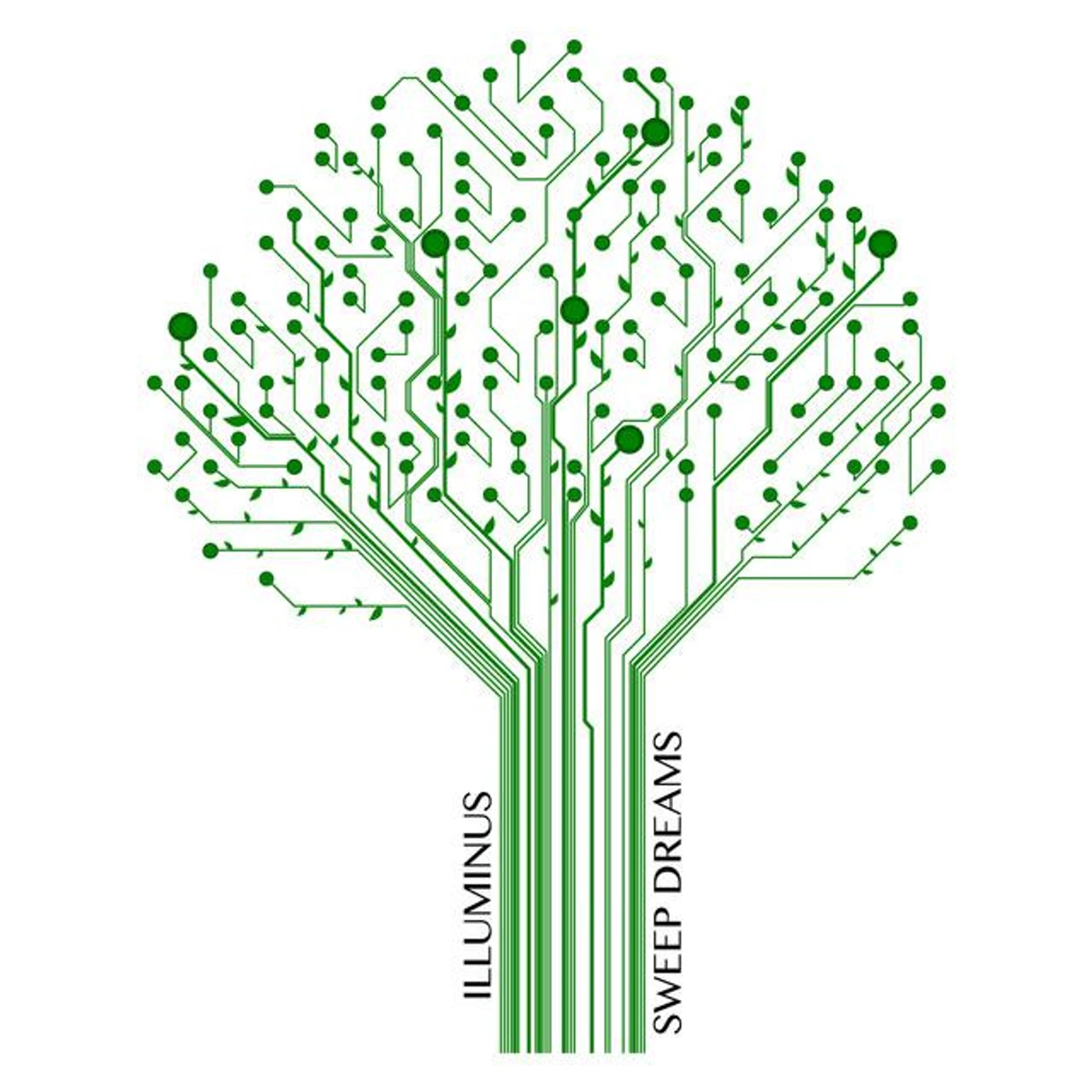 Illuminus Brand Page