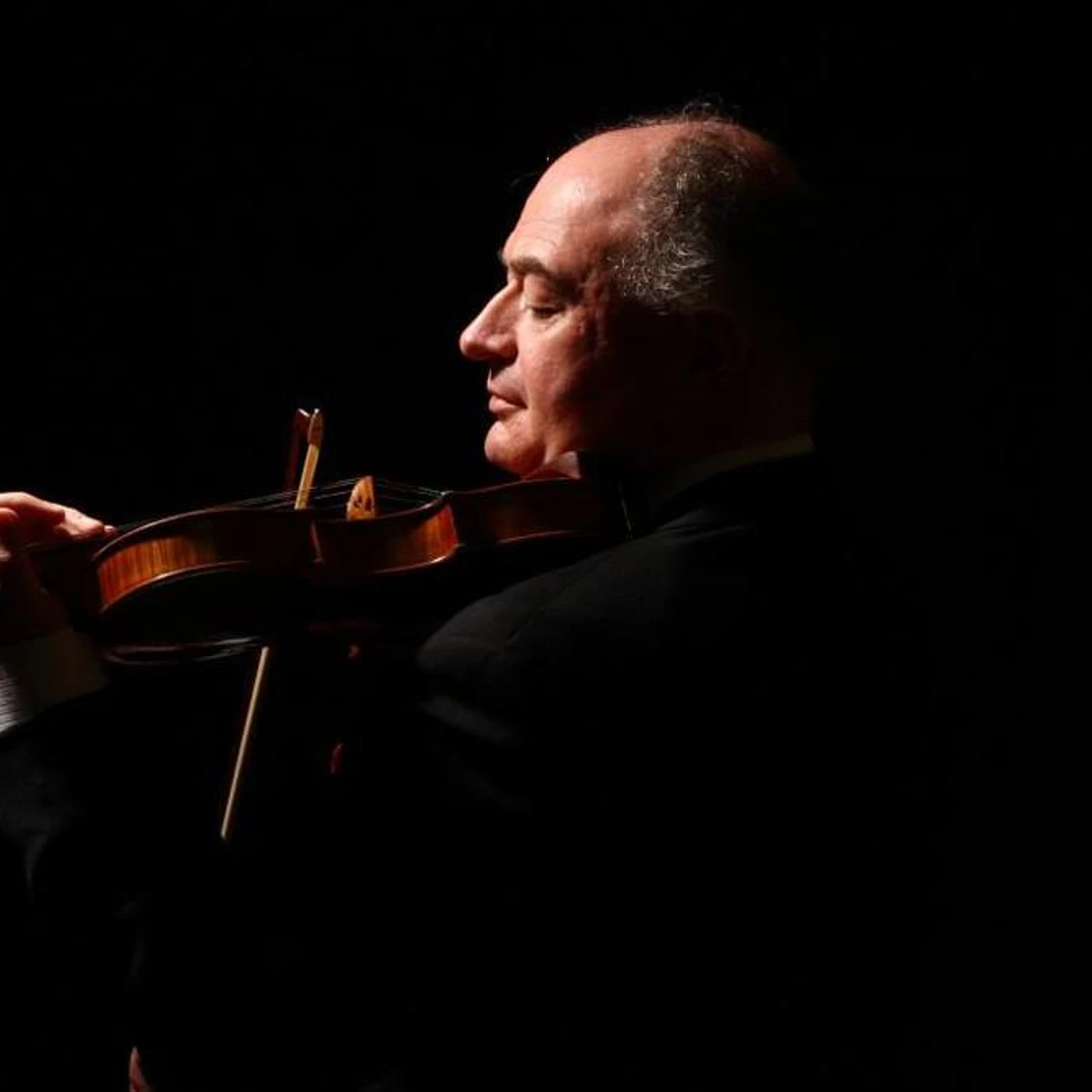 Ilya Kaler Brand Page