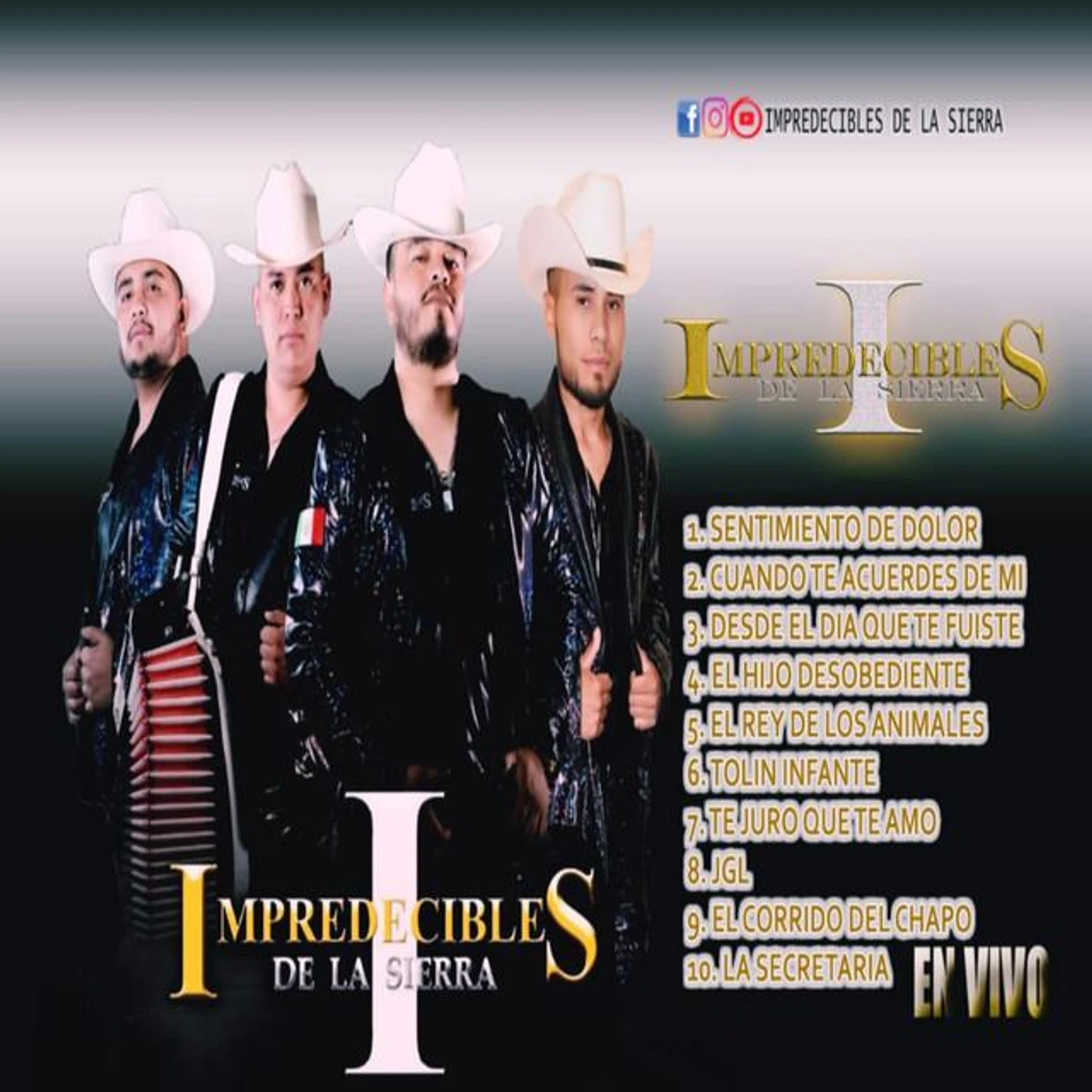 Impredecibles de la Sierra Brand Page