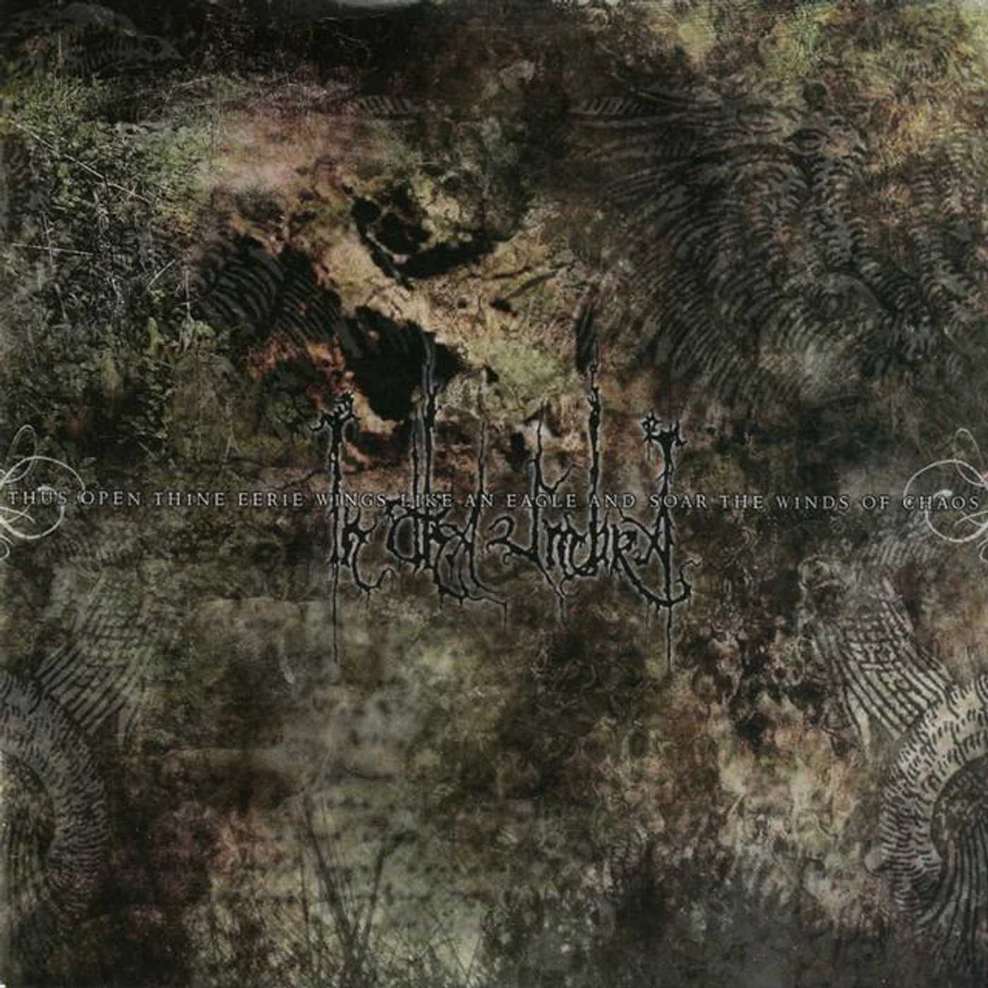 In Tha Umbra Brand Page