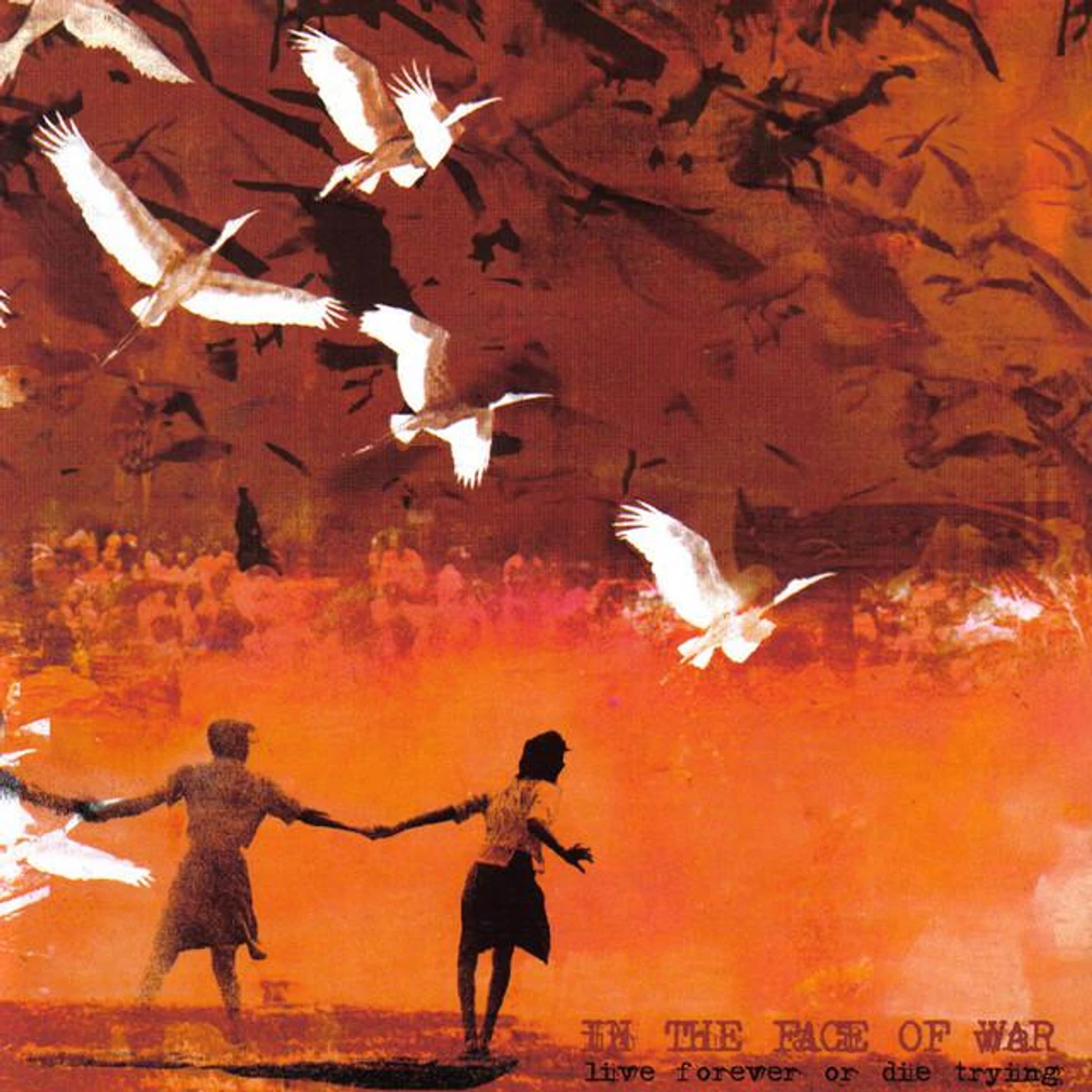 In The Face Of War Brand Page