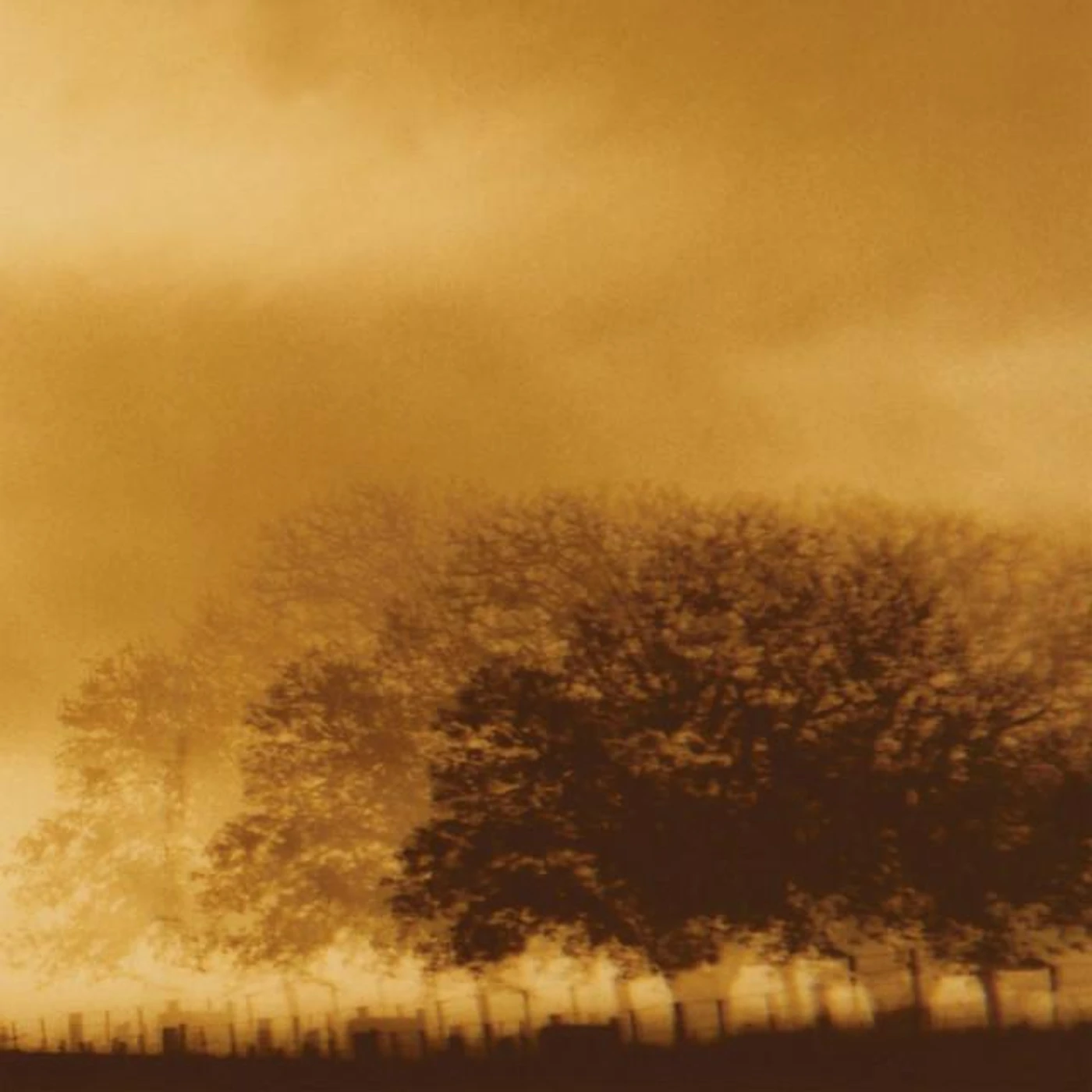 Infinite Light Brand Page