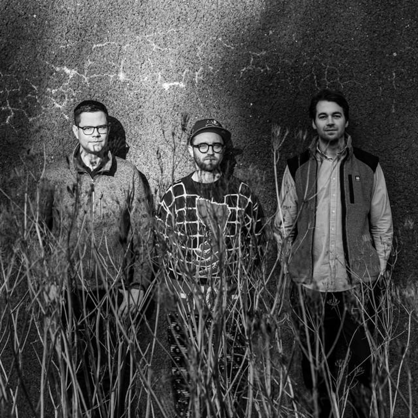 Ingi Bjarni Brand Page