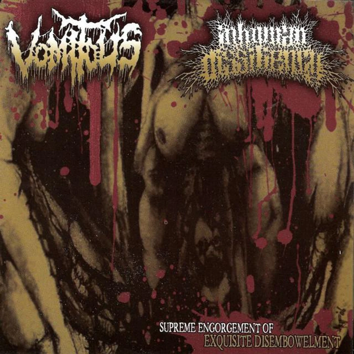 Inhuman Dissiliency / Vomitus Brand Page