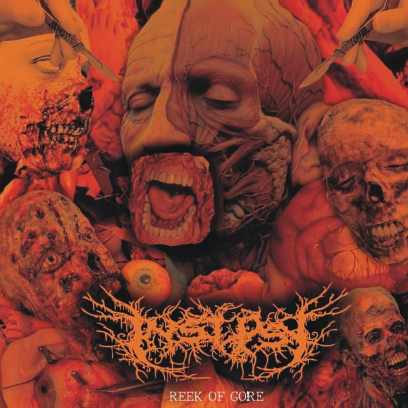 Insepsy Brand Page