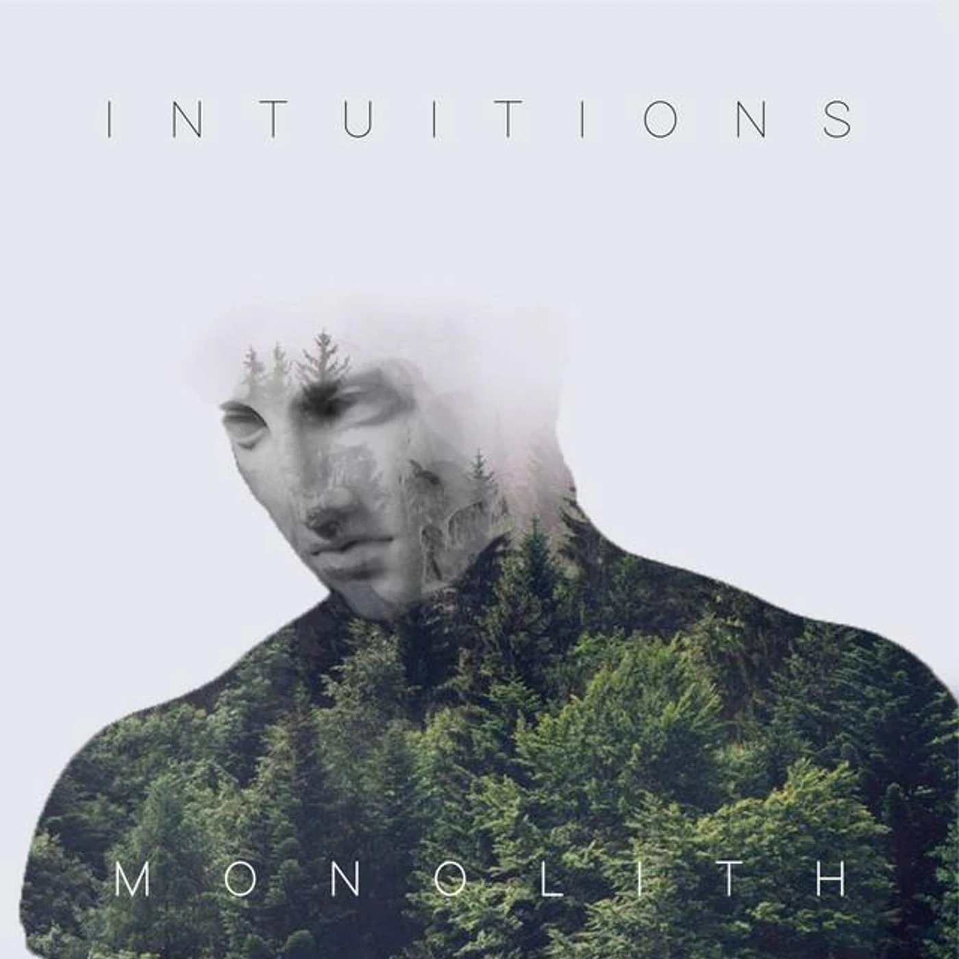 Intuitions Brand Page