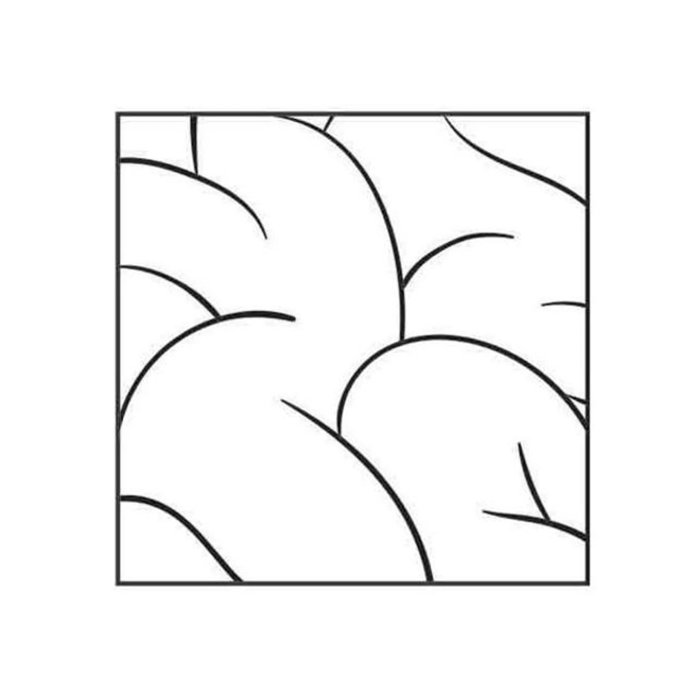 Intellexual Brand Page