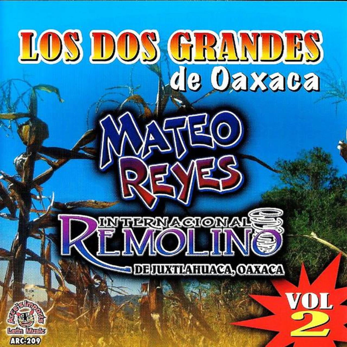 Internacional Remolino De Juxtlahuaca, Oaxaca Brand Page