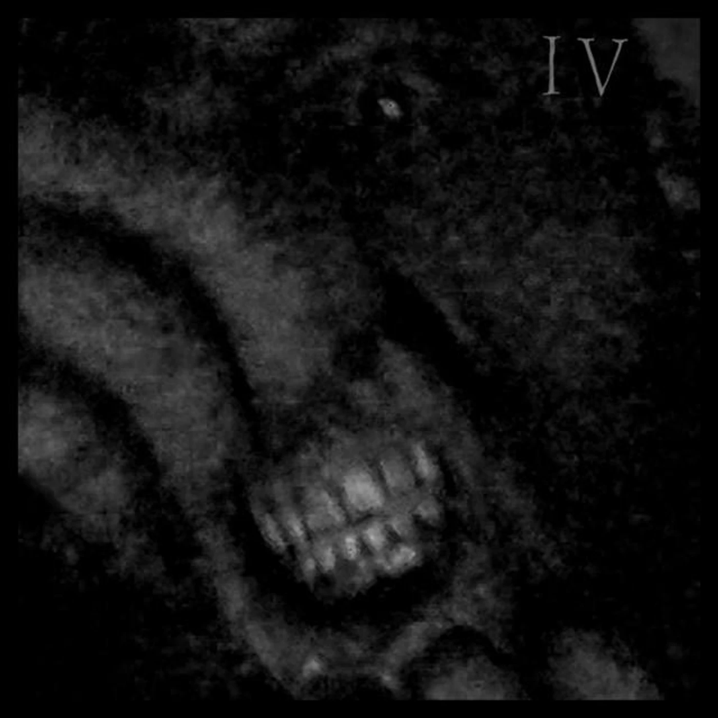 Into Violence Brand Page