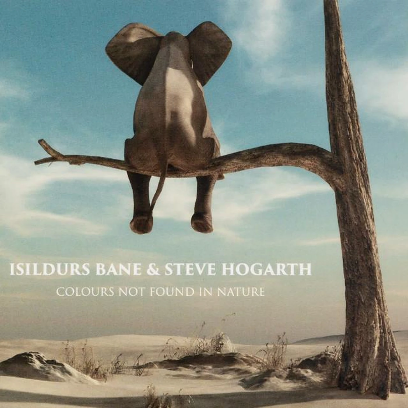 Isildurs Bane Brand Page