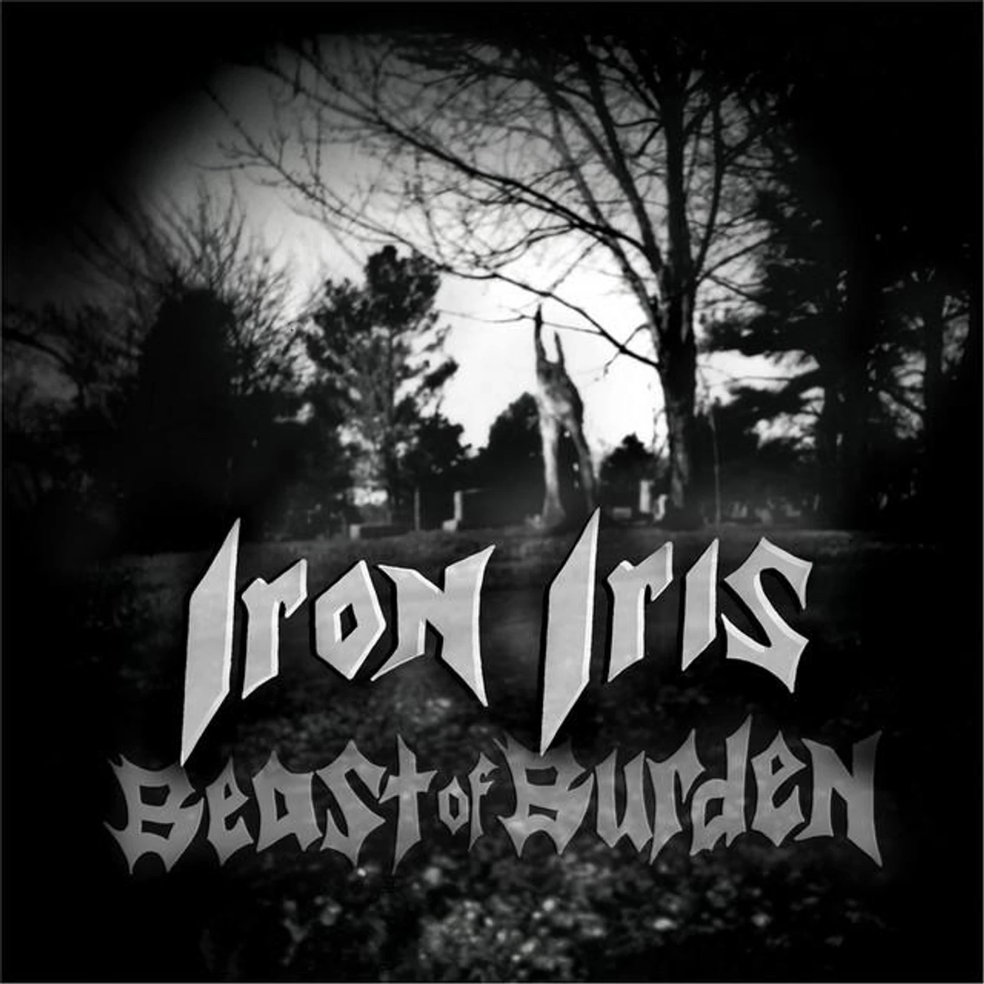 Iron Iris