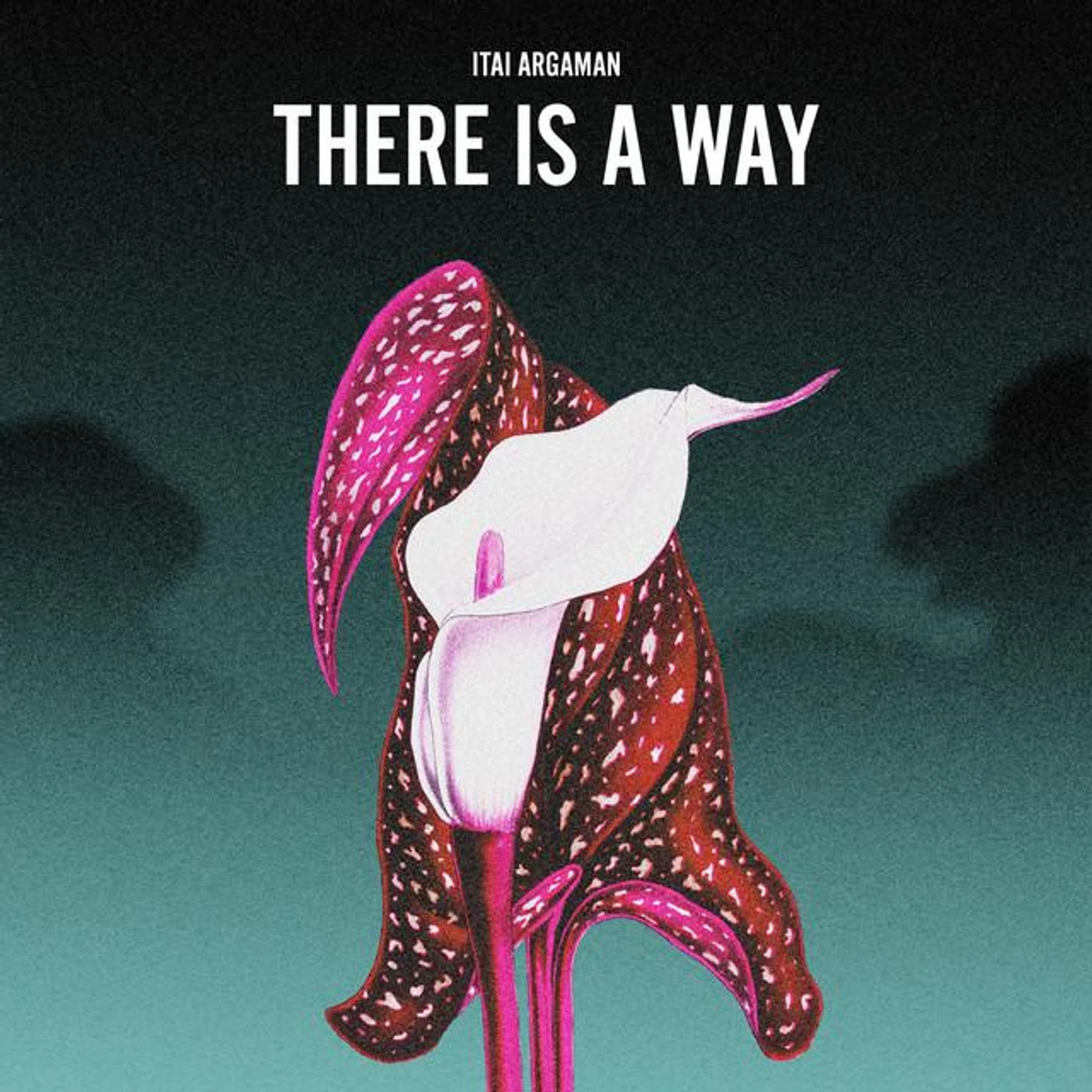 Itai Argaman Brand Page