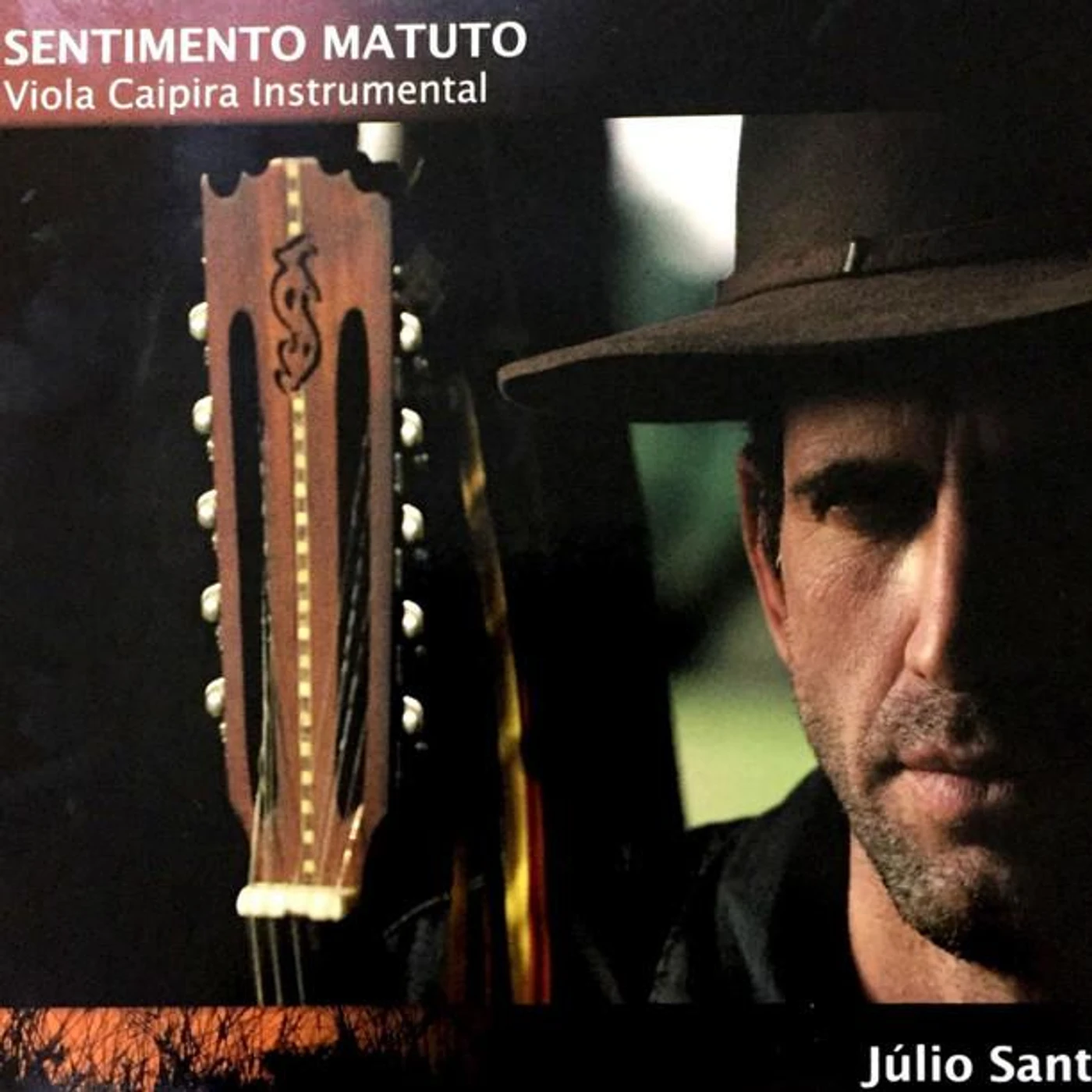 Júlio Santin