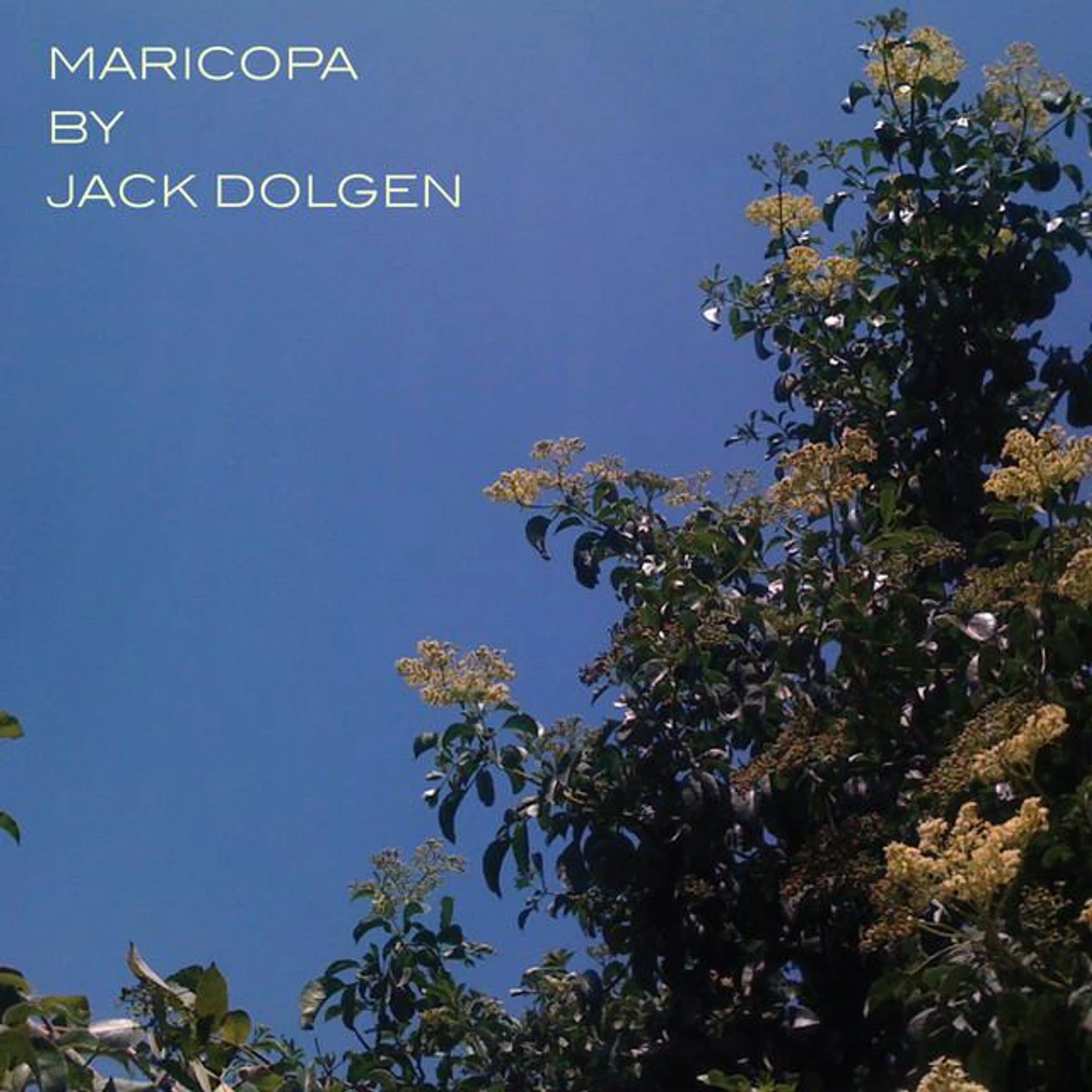 Jack Dolgen Brand Page