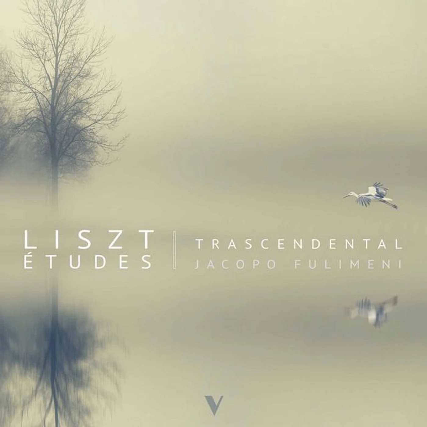 Jacopo Fulimeni Brand Page