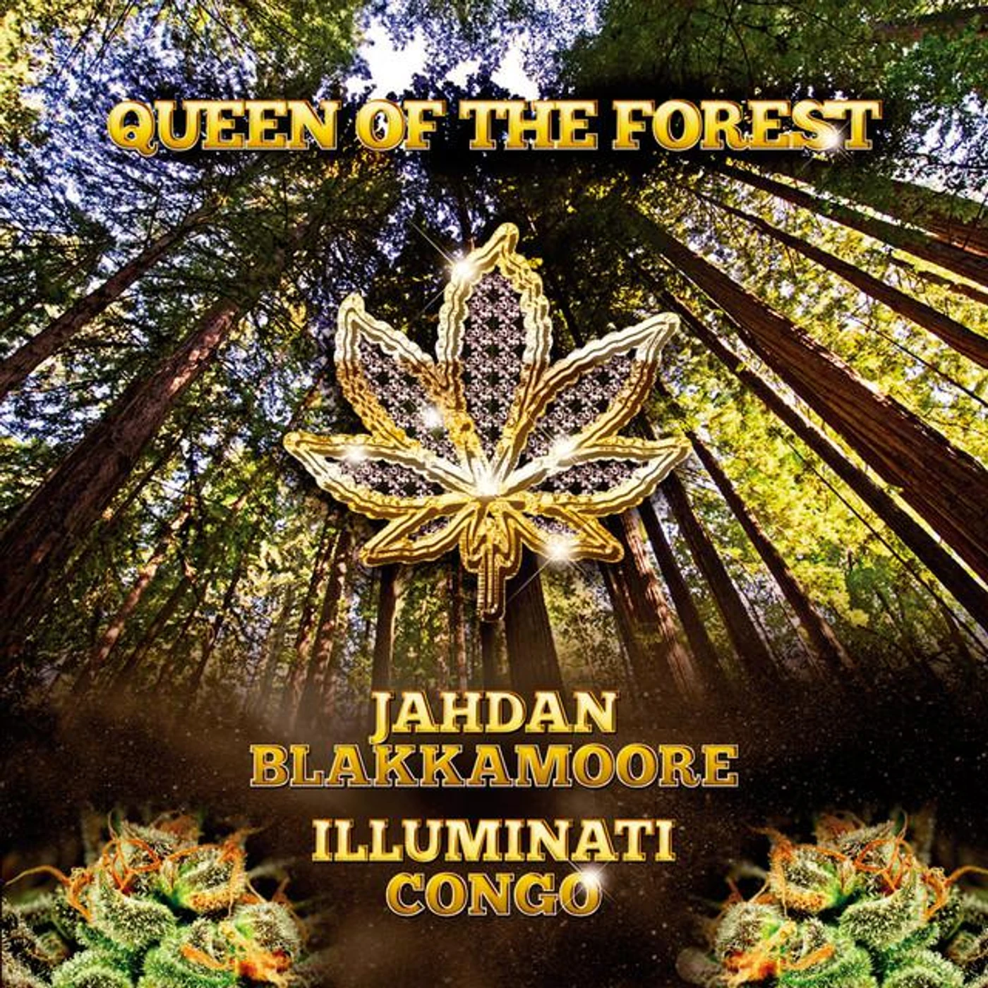 Jahdan Blakkamoore Brand Page