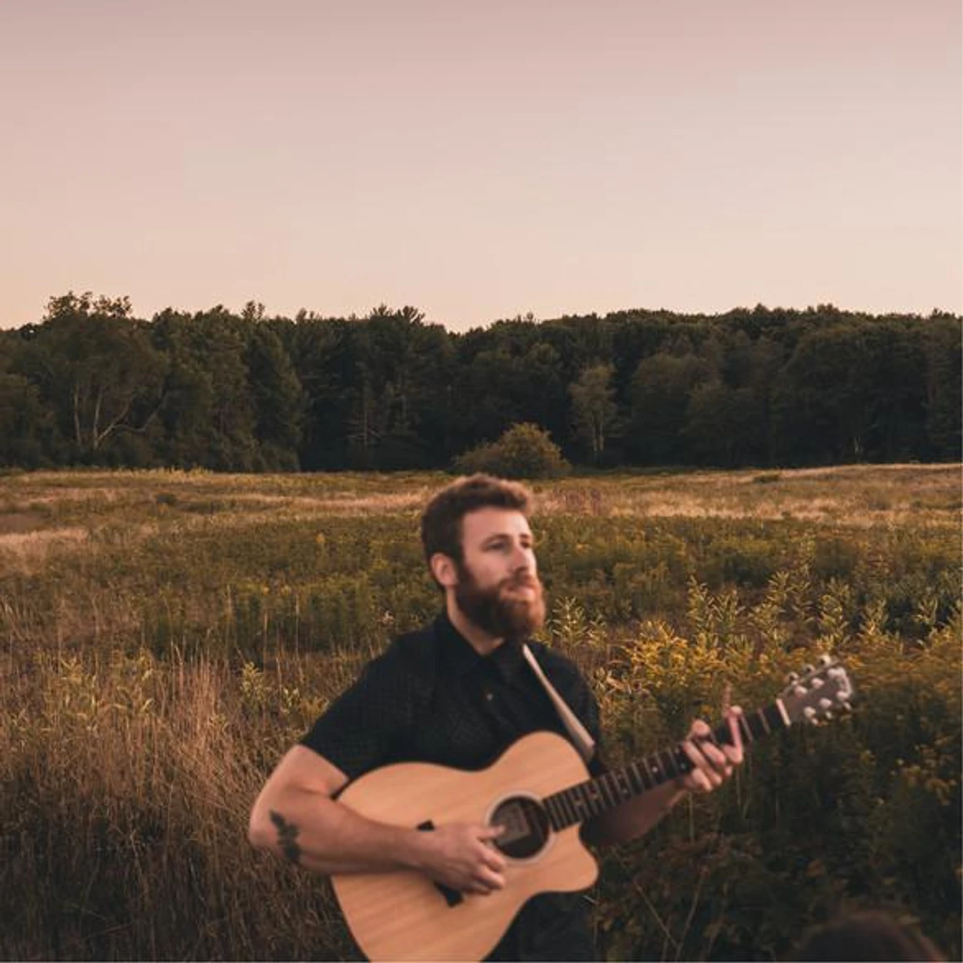 Jake Swamp and the Pine