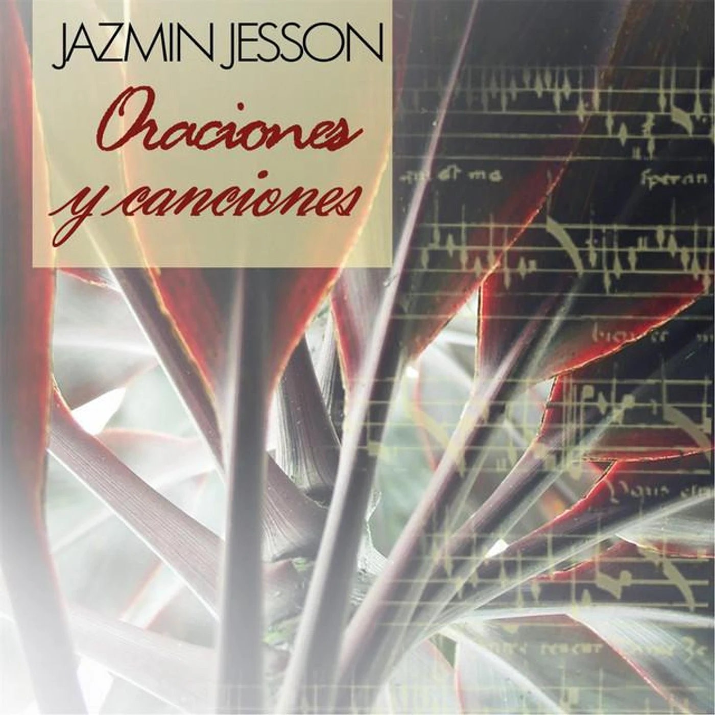 Jazmin Jesson Brand Page