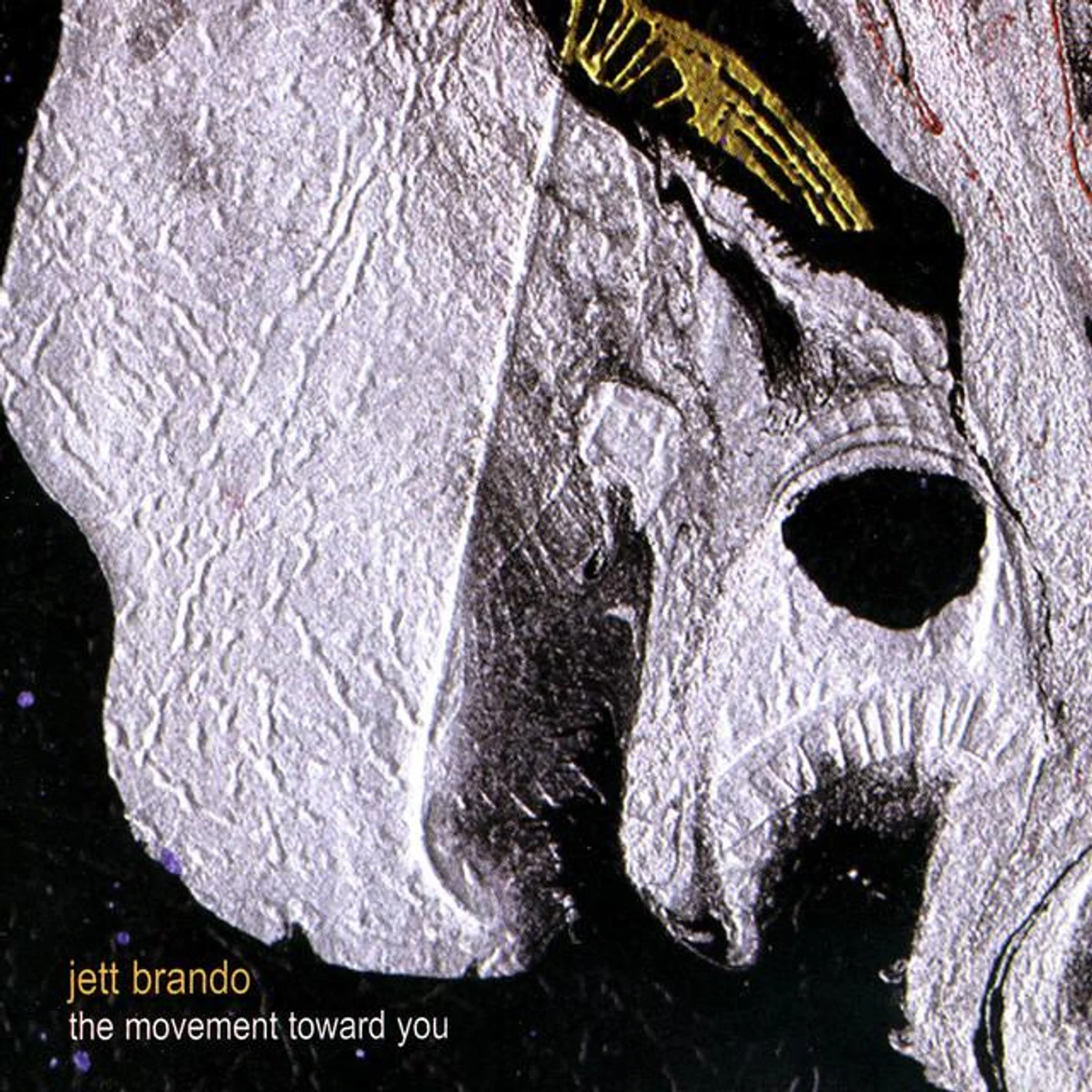 Jett Brando Brand Page
