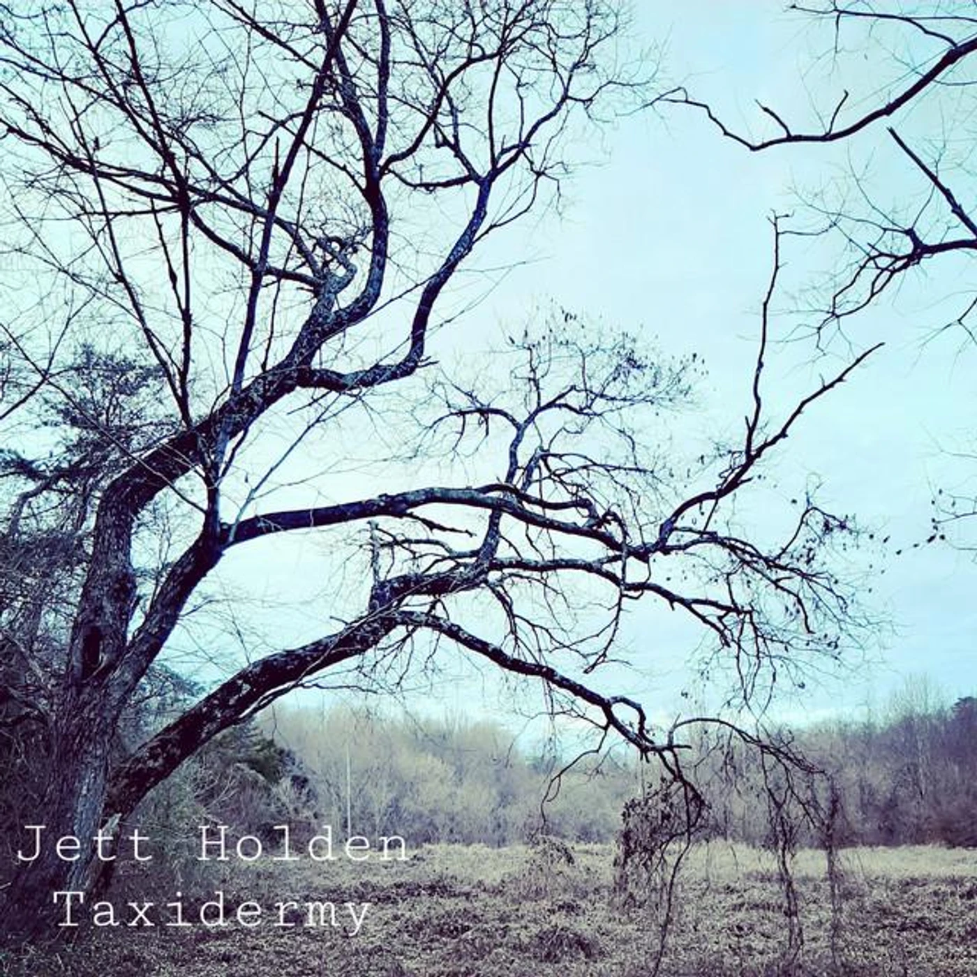 Jett Holden Brand Page