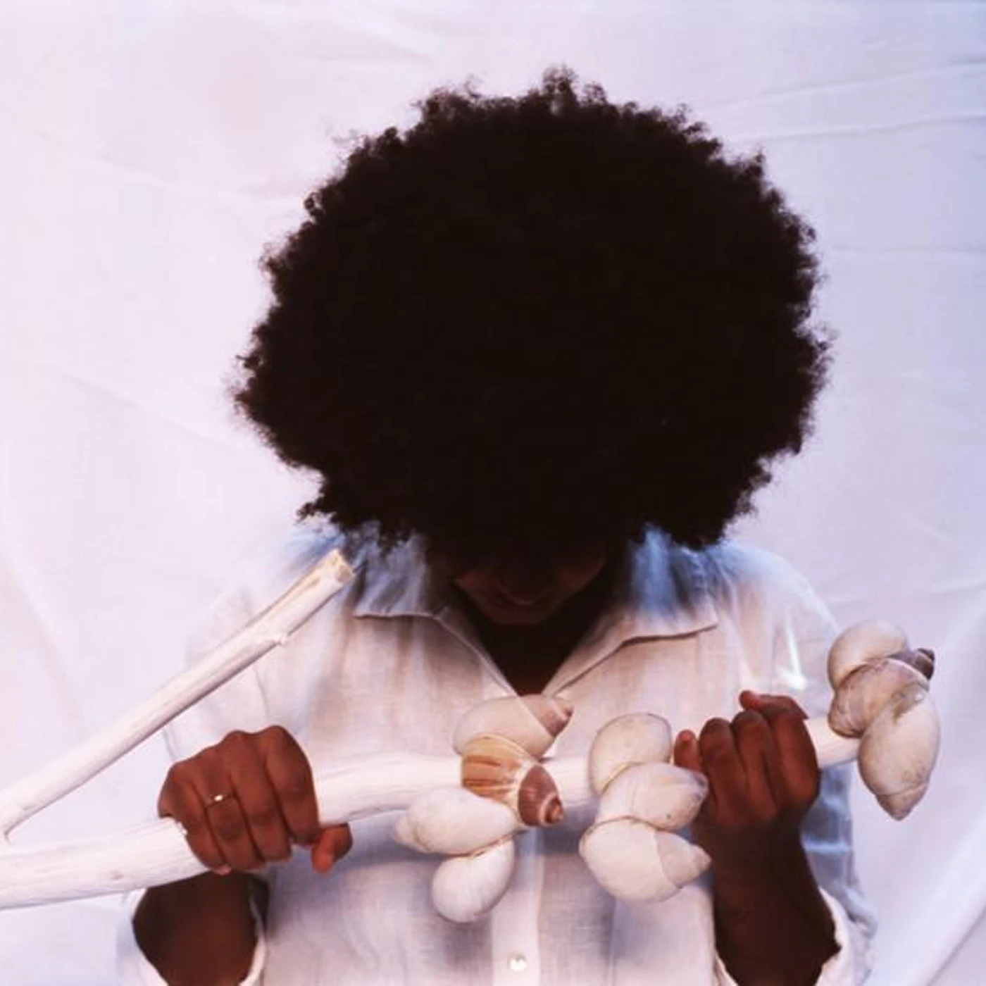 Jeza da Pedra Brand Page