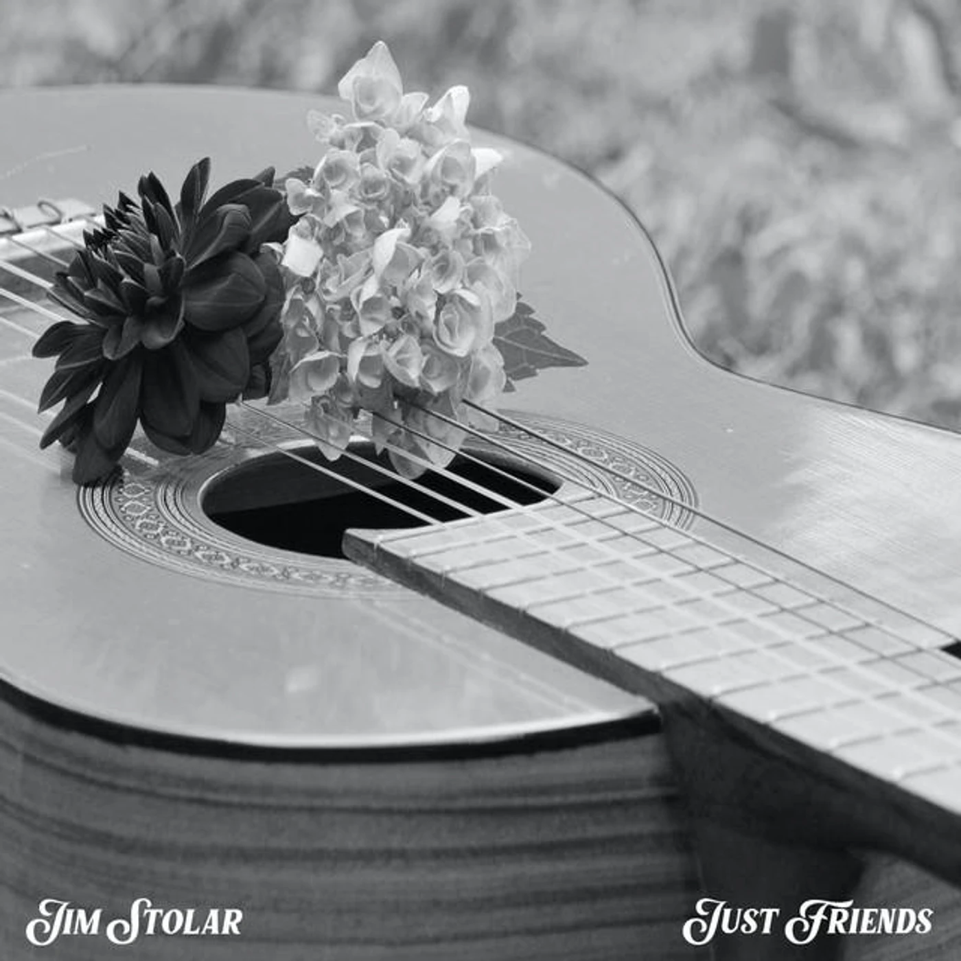 Jim Stolar Brand Page