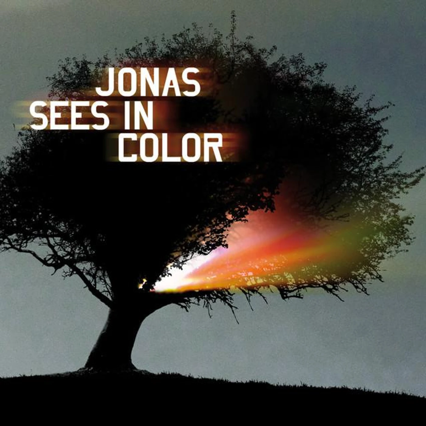 Jonas Sees In Color Brand Page