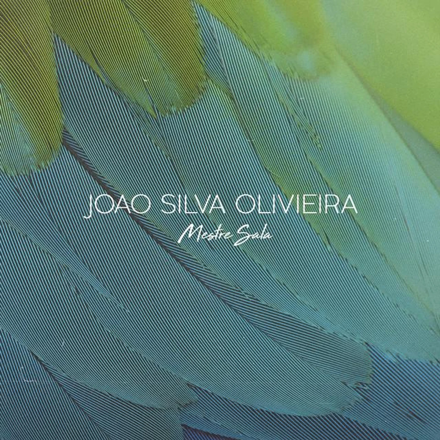 Joao Silva Olivieira Brand Page