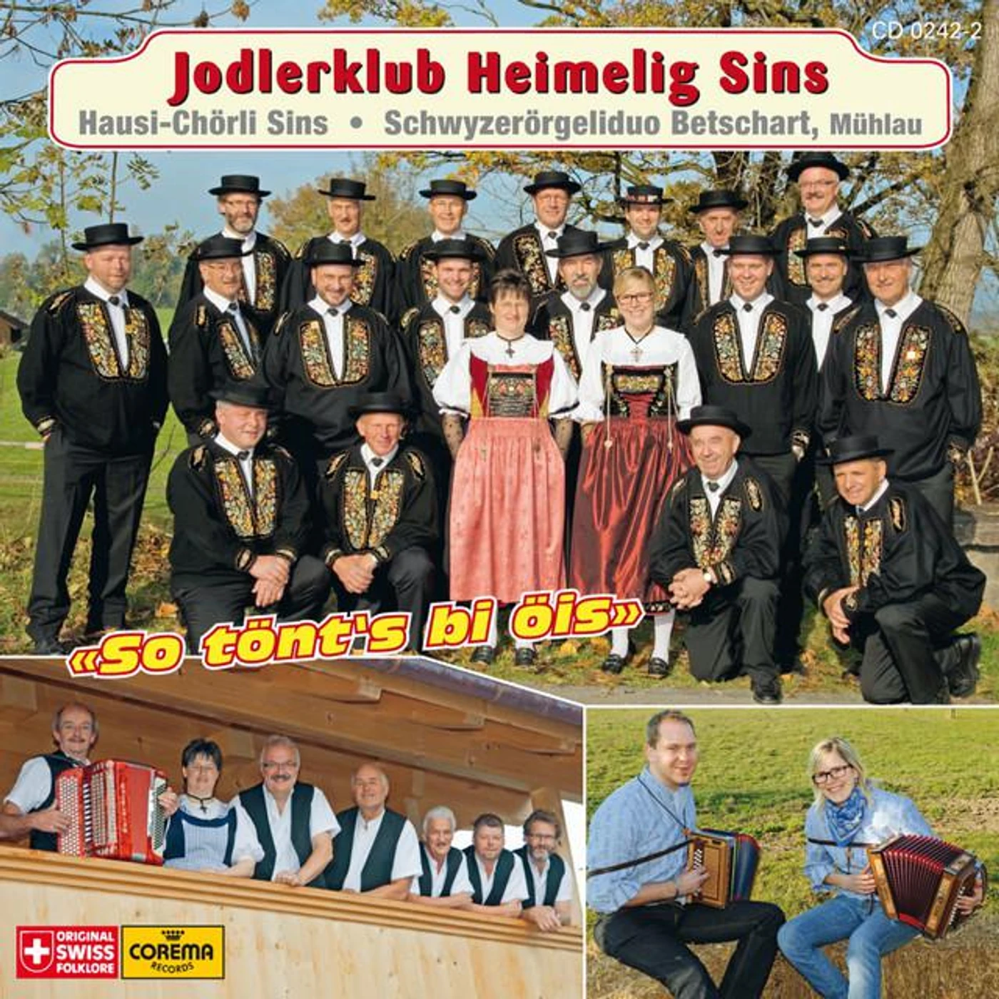 Jodlerklub Heimelig Sins
