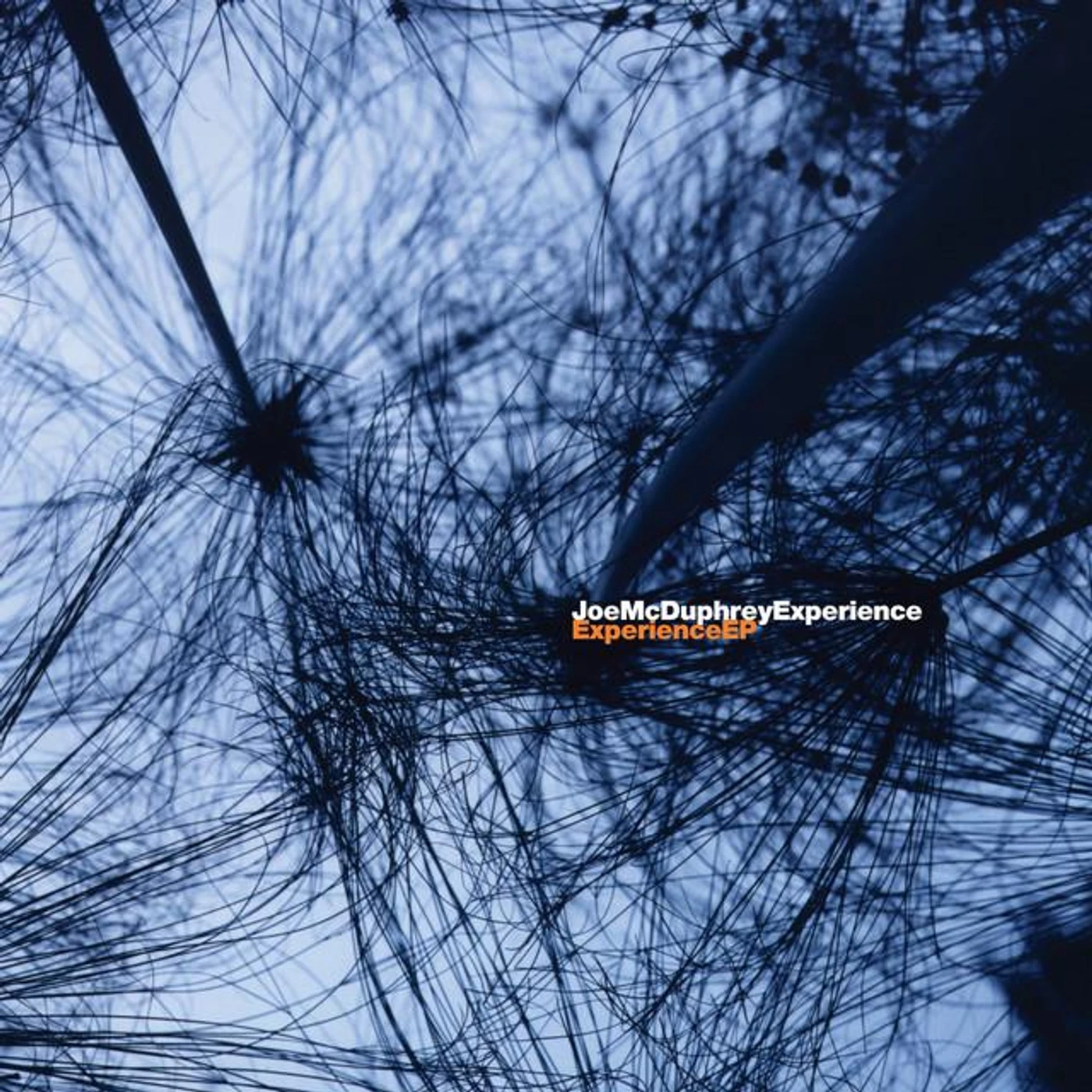 Joe Mcduphrey Brand Page