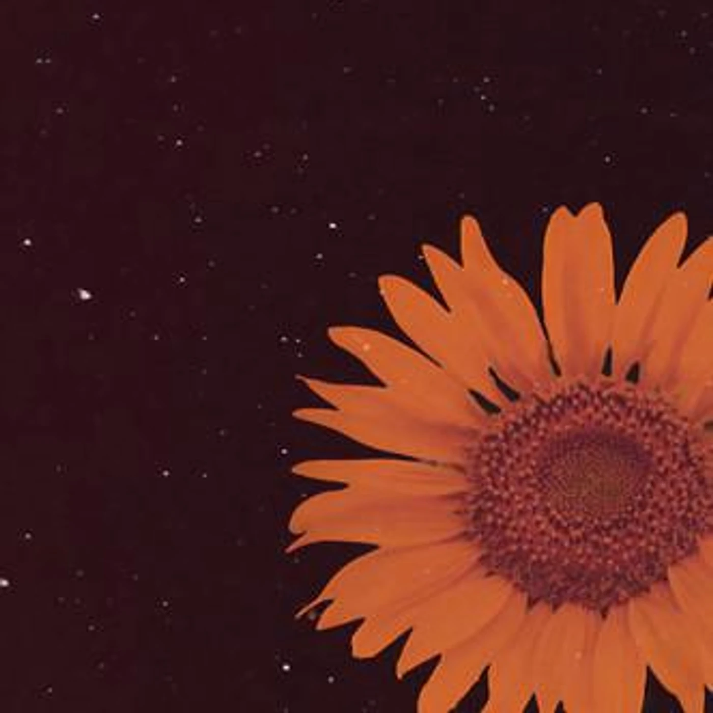 Joel Ansett Brand Page