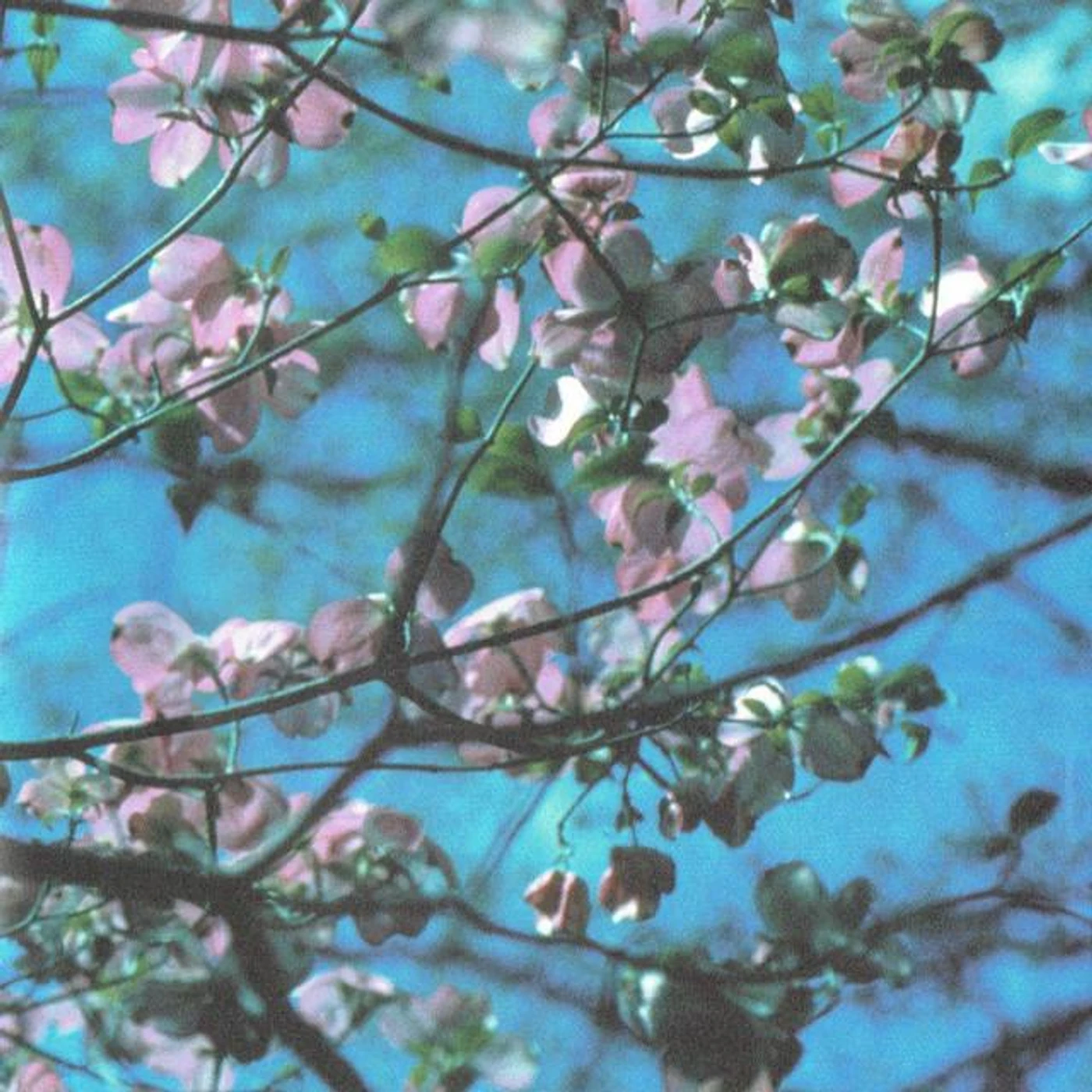 Joel R.L. Phelps Brand Page