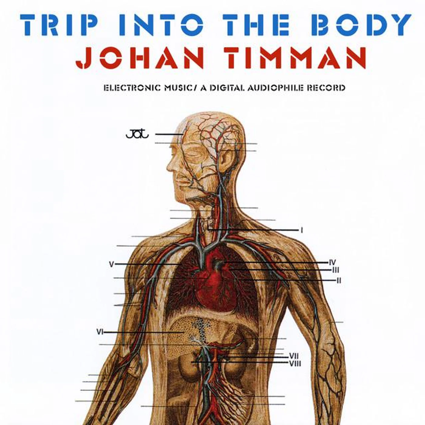 Johan Timman