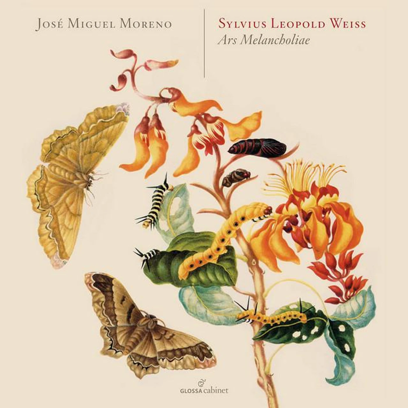 José Miguel Moreno Brand Page