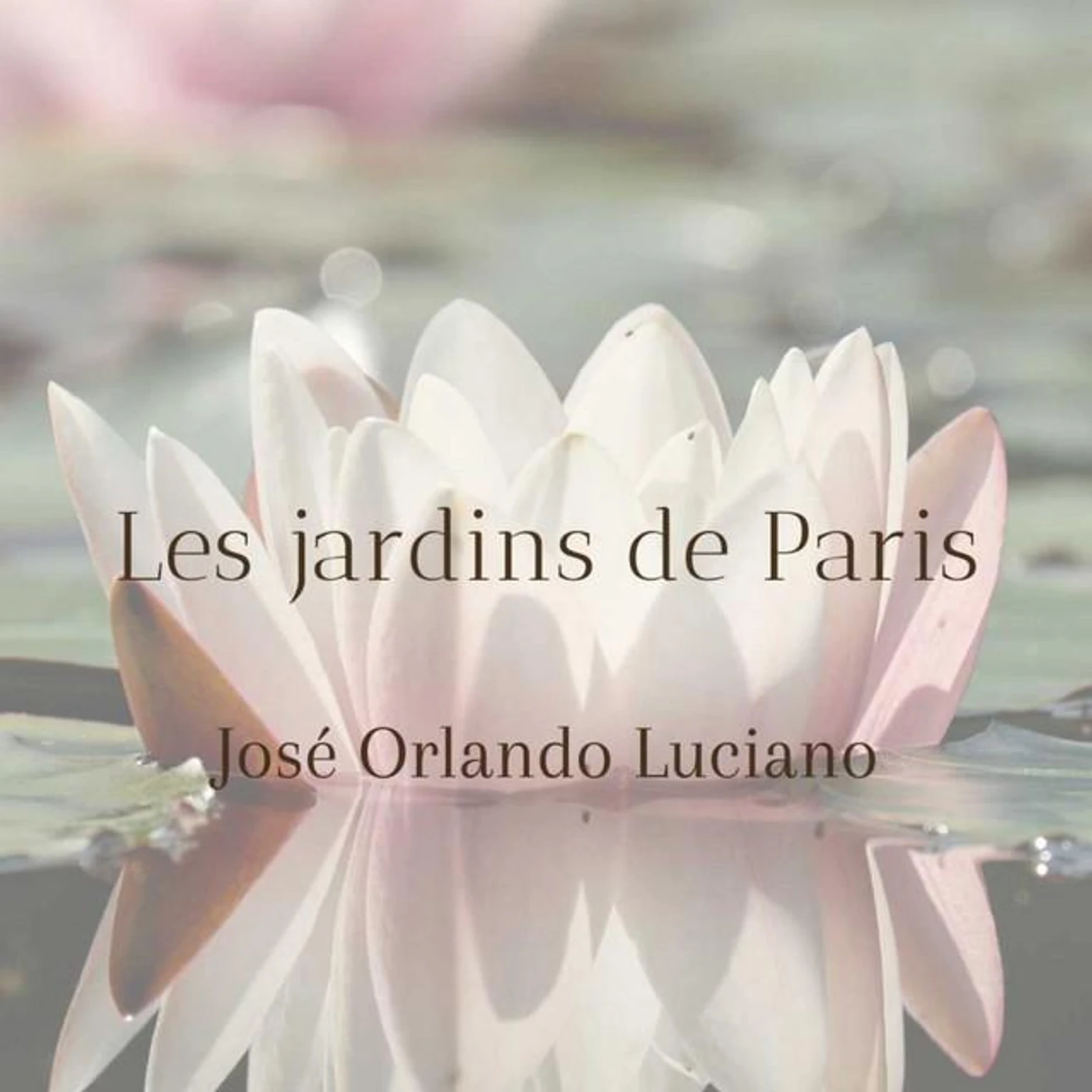 Jose Orlando Luciano Brand Page