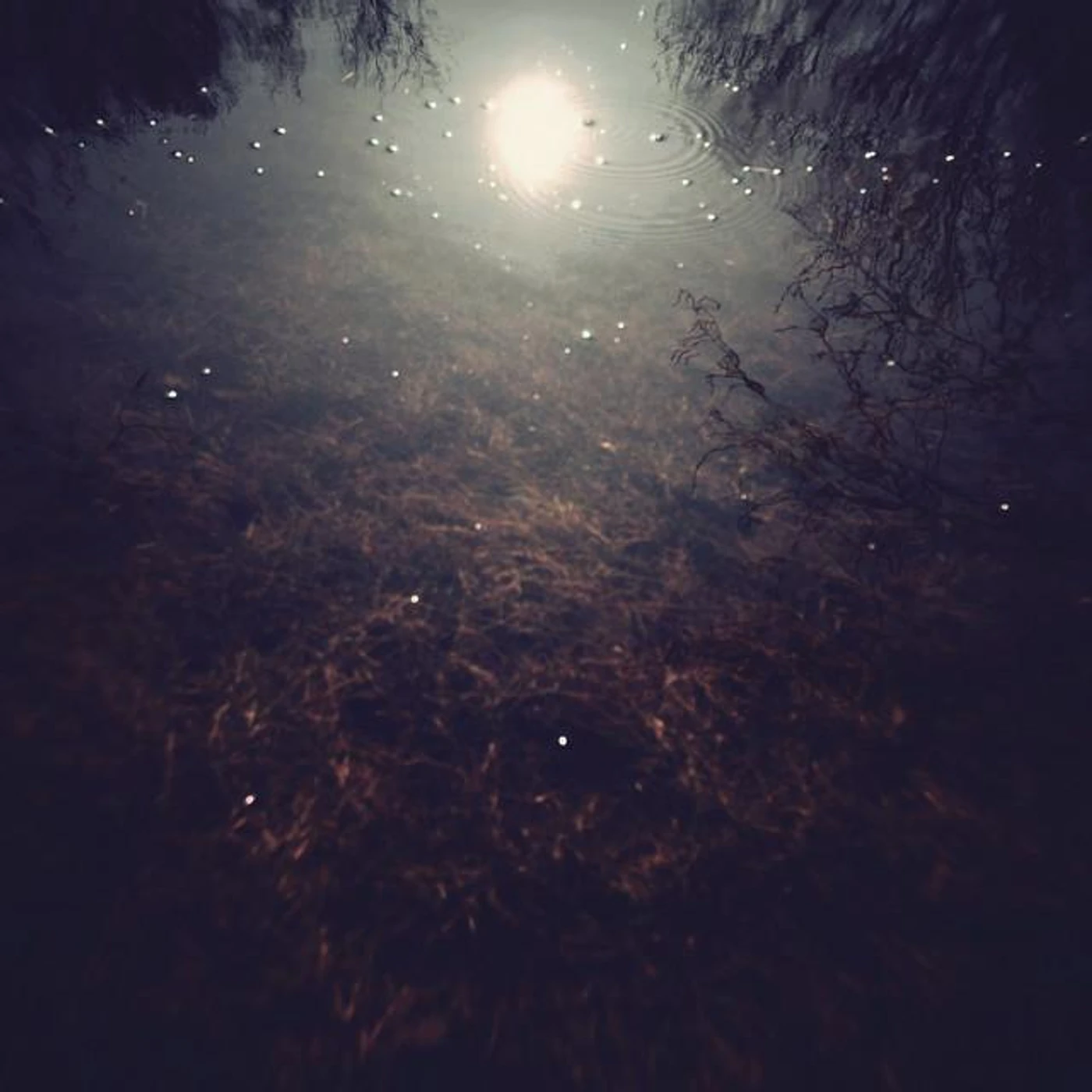 Josh Mason Brand Page