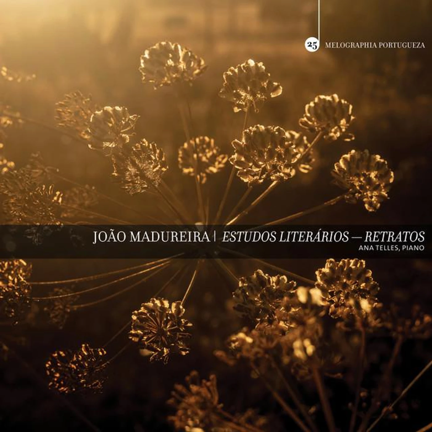 João Madureira Brand Page