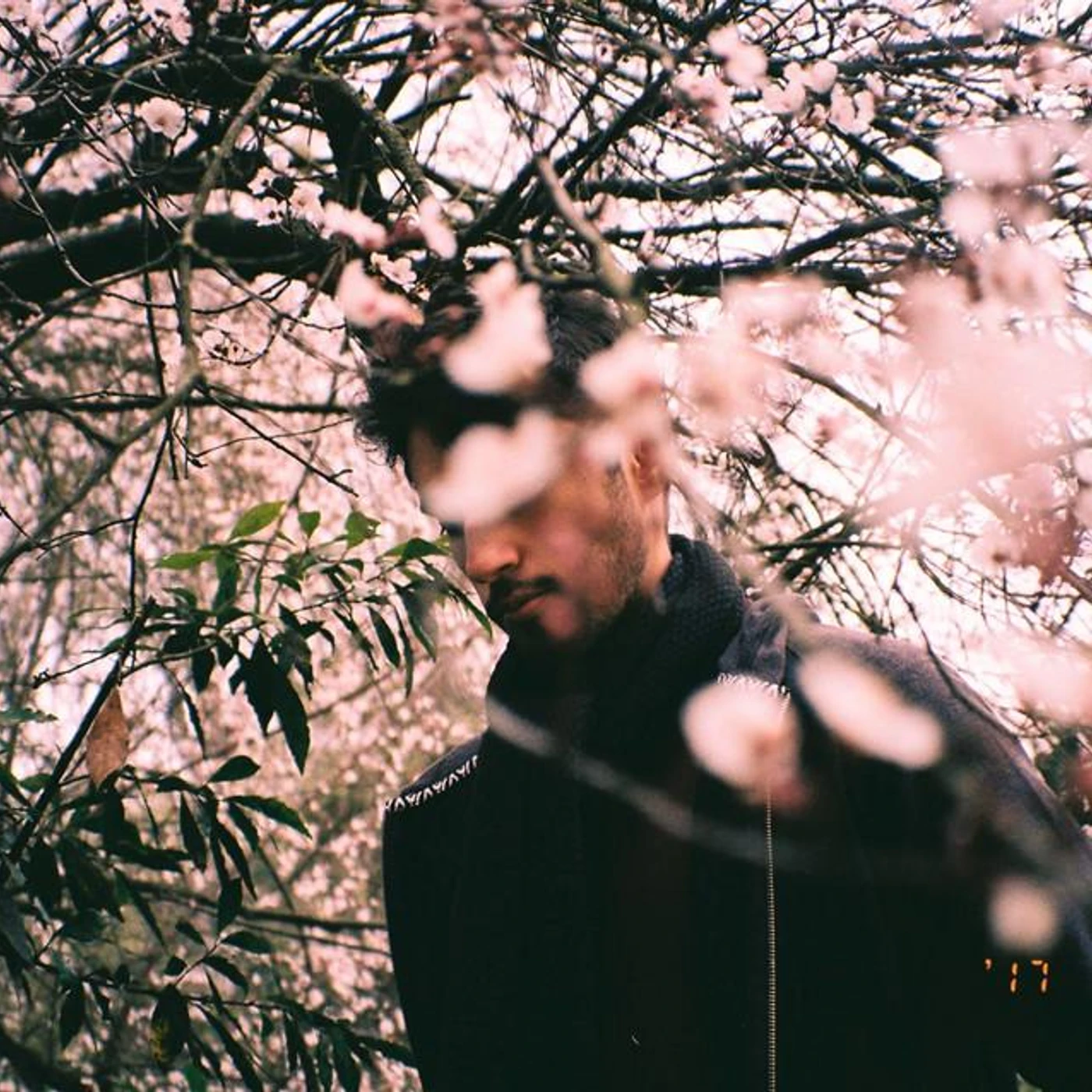 João Tamura Brand Page