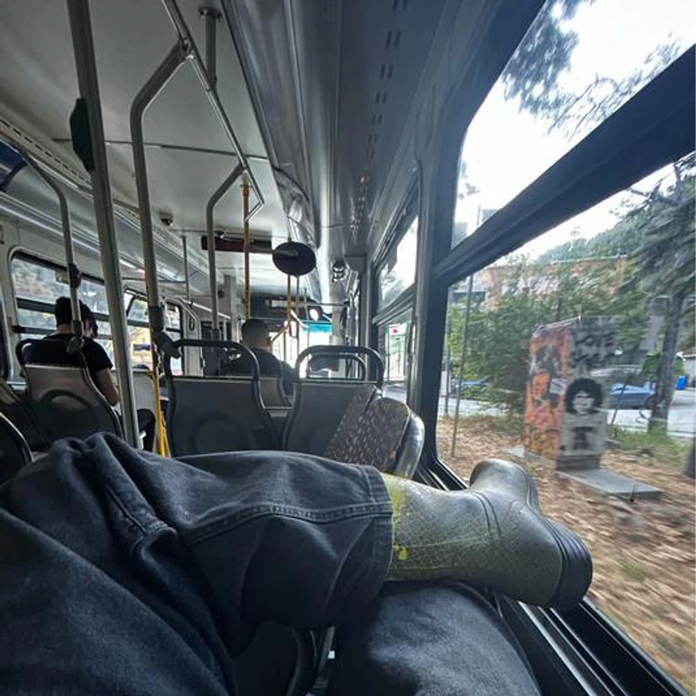 Junior Mesa Brand Page