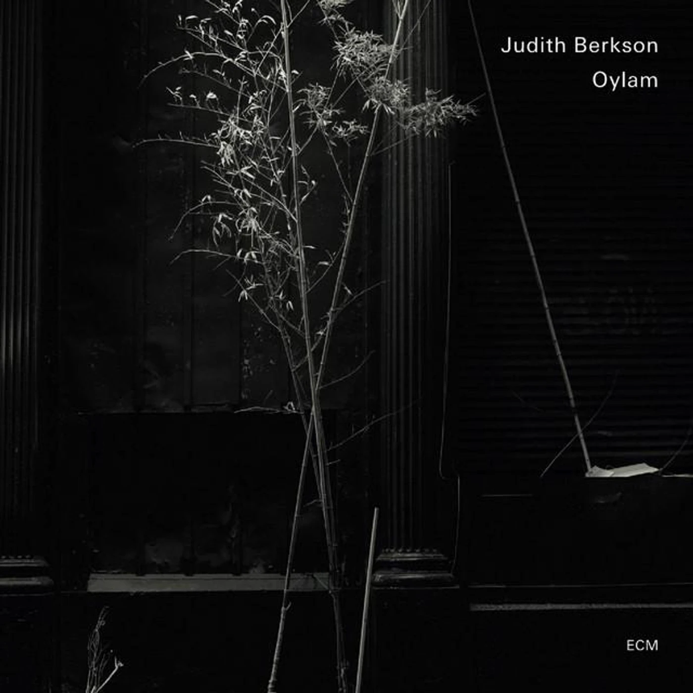 Judith Berkson