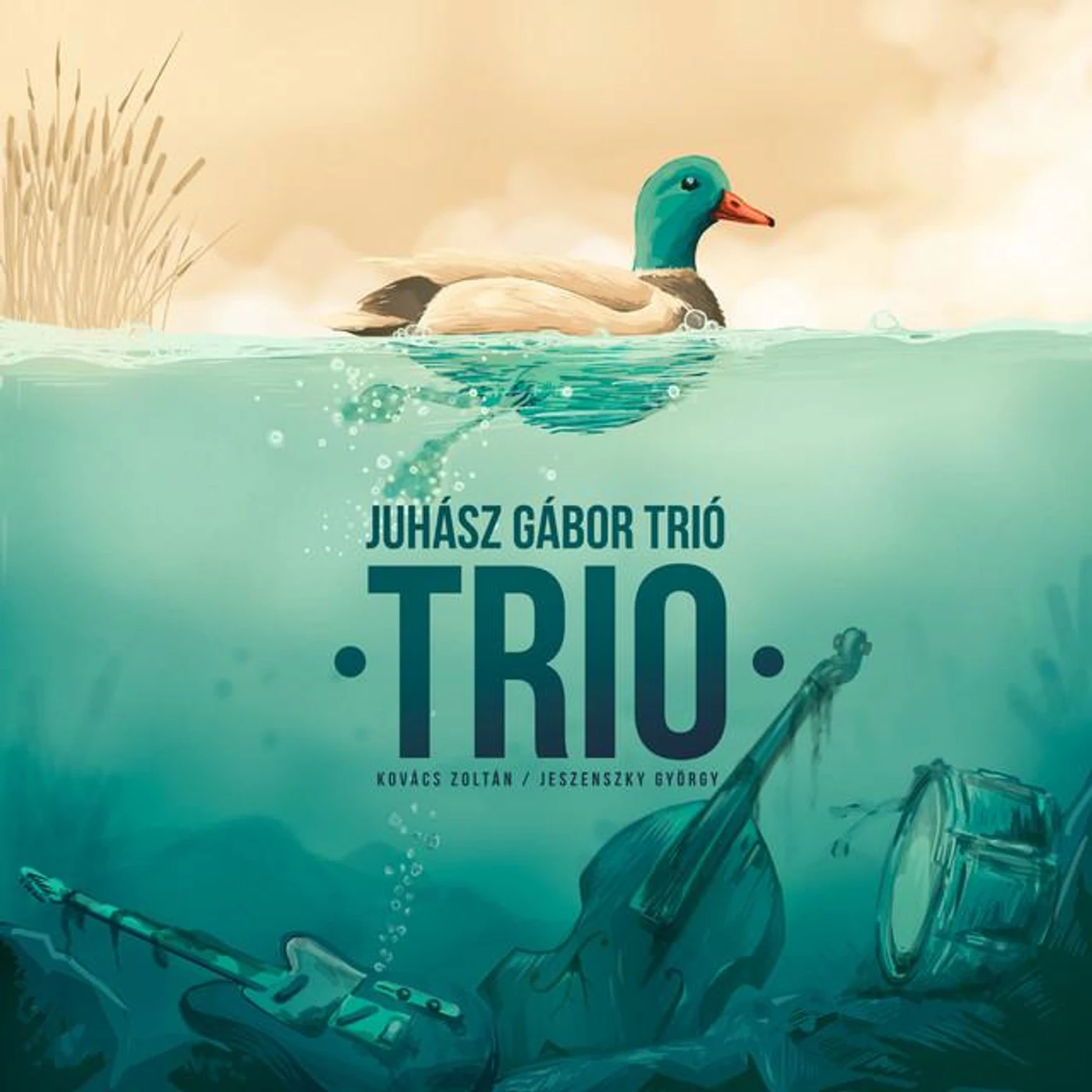Juhász Gábor Trió Brand Page