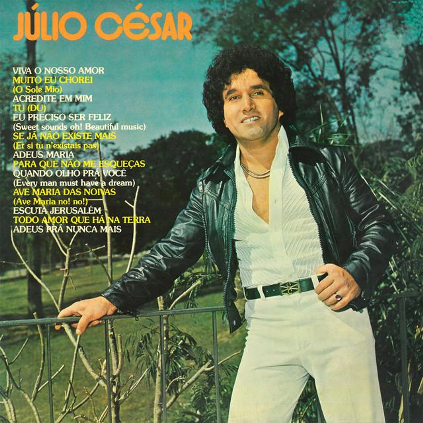 Júlio César Brand Page